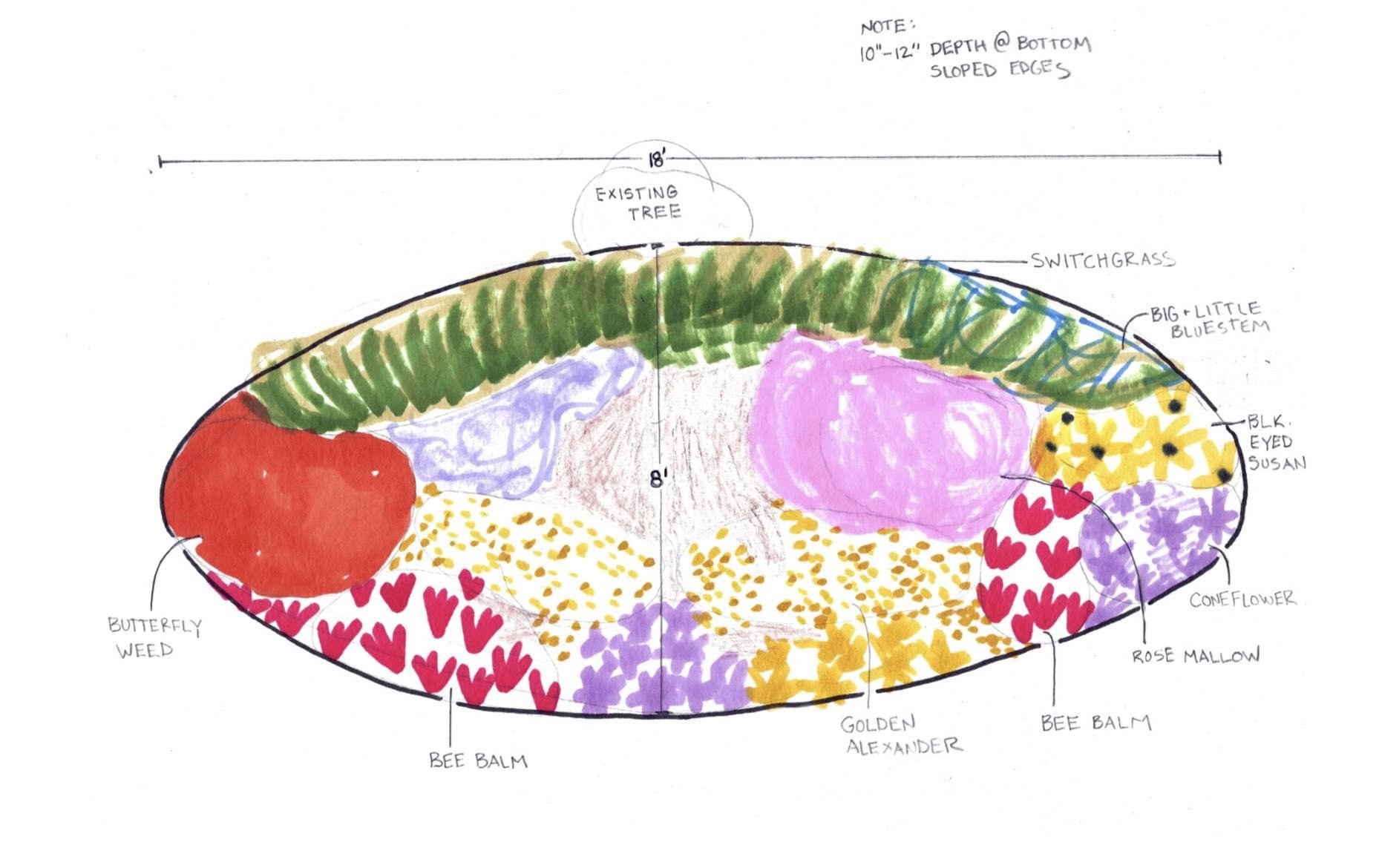 Hand-drawn rain garden and pollinator garden design sketch by Britten for a Bloom & Weed client in Brighton, MI
