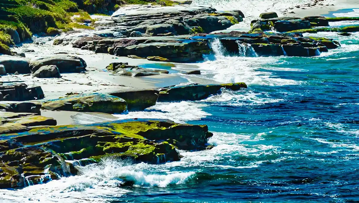lajolla-beach-drone photo.webp