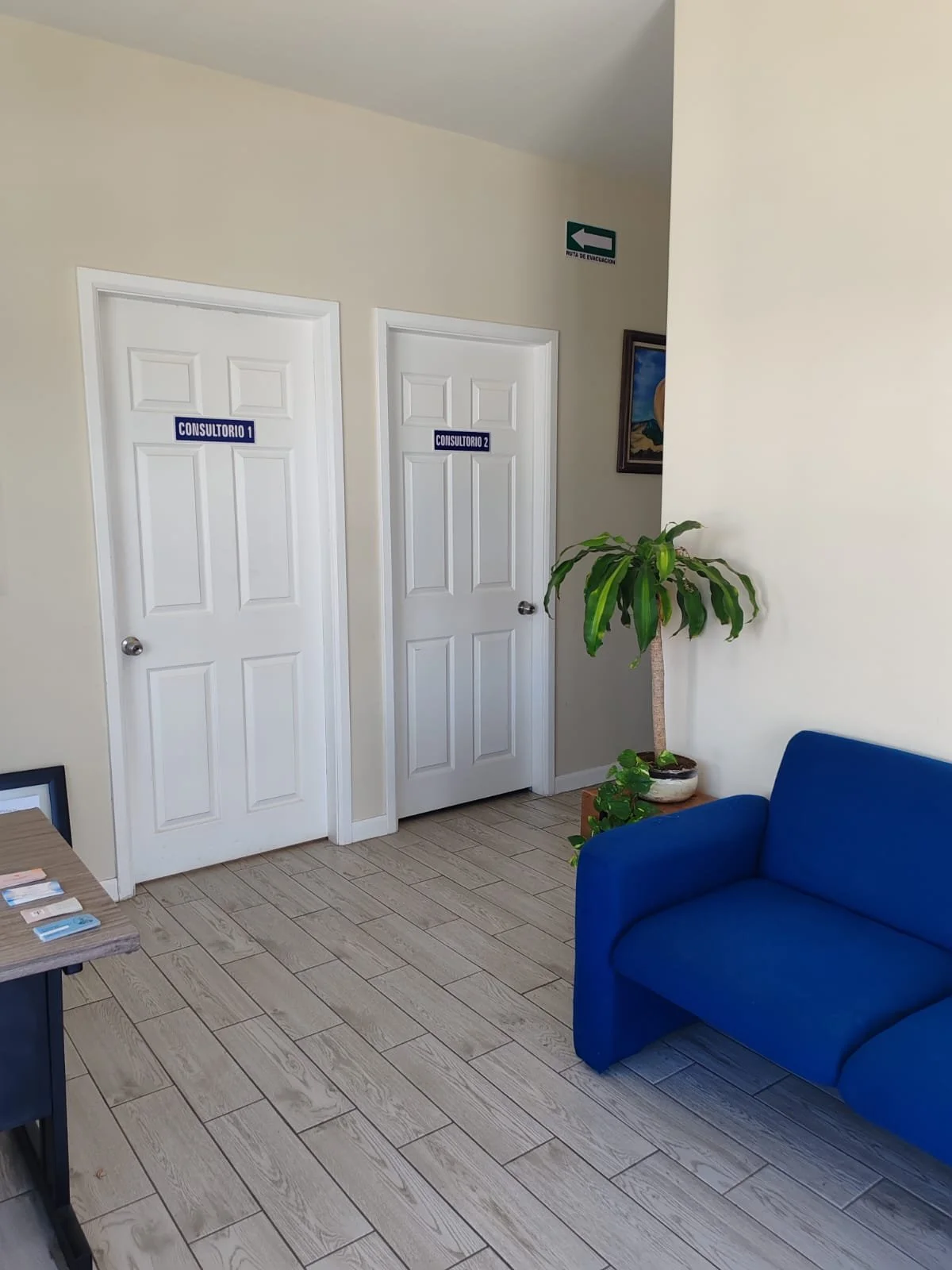 Sala de espera en una clínica con dos puertas etiquetadas como consultorios, una planta decorativa junto a un sillón azul y un cartel de salida en la pared.