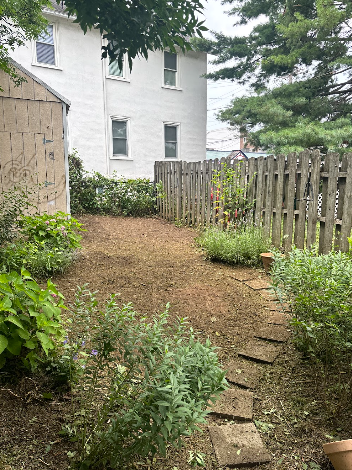 Soil Prepped For Grass.png