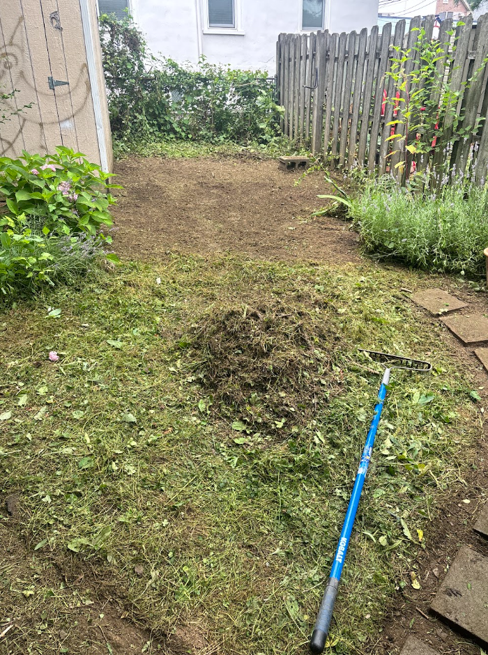 Clover Removal.png
