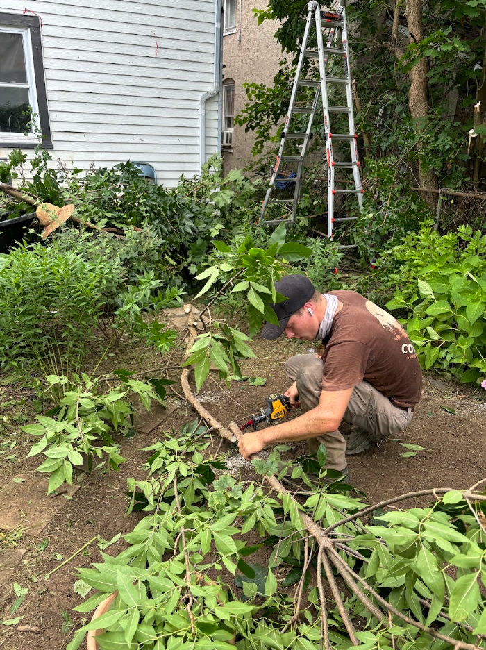 David working on yard.png