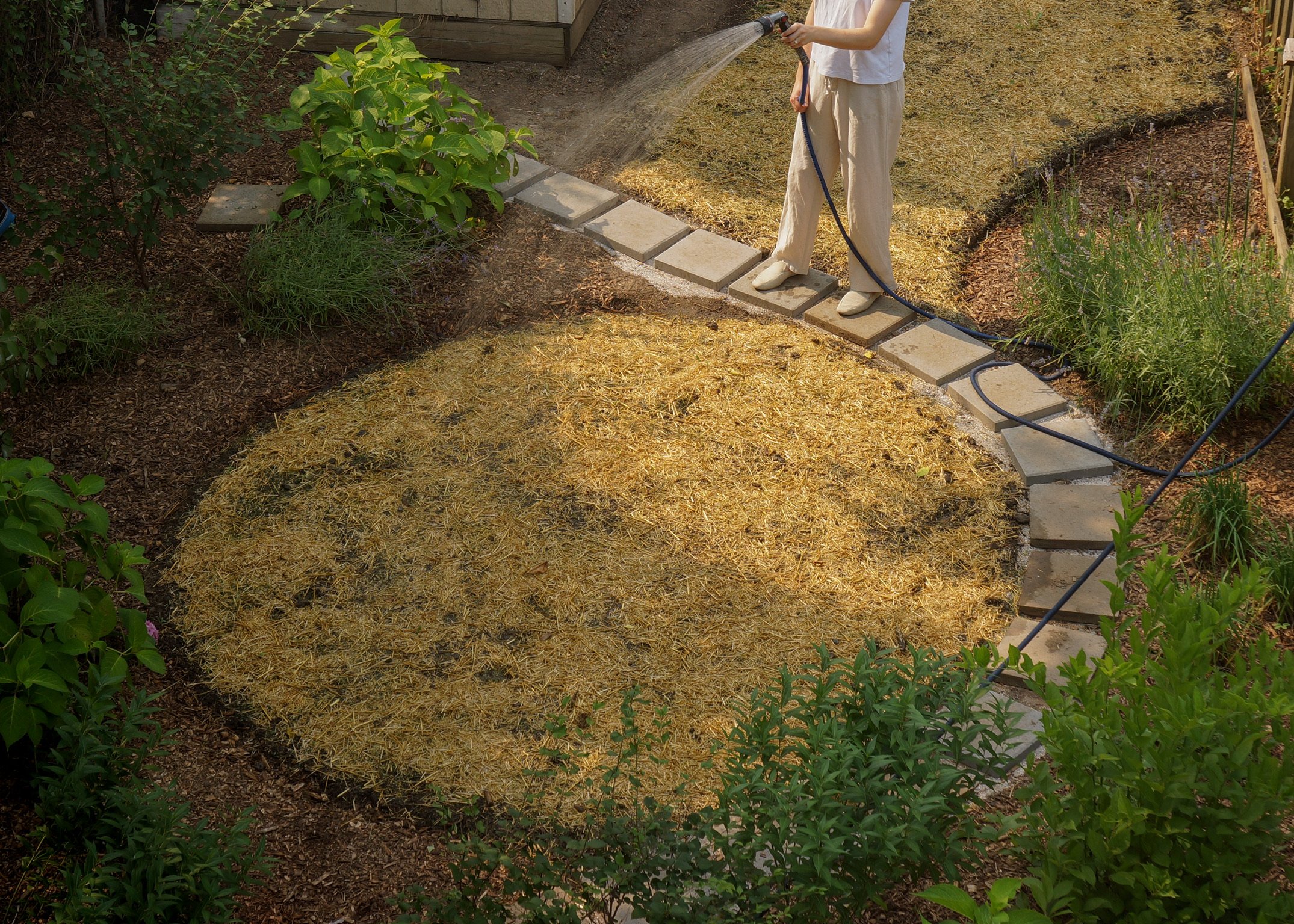 | 006 | The Townhouse Garden Conundrum