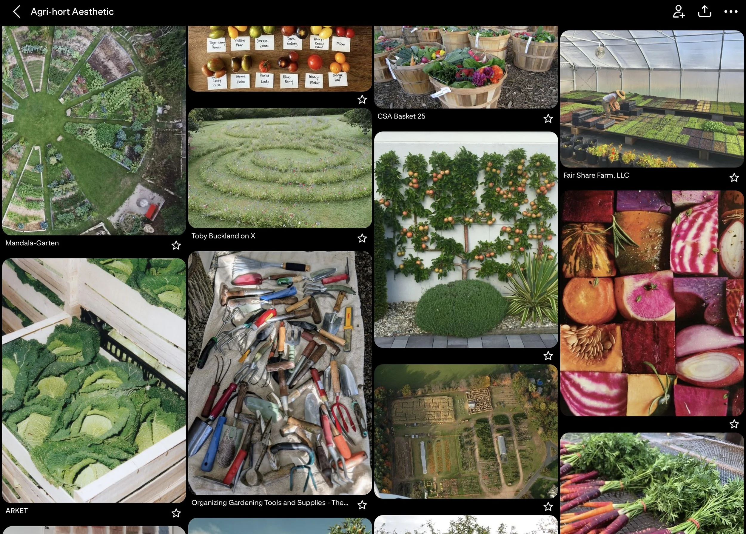 | 009 | Tactile Gardening: the exploration of color, texture, and light 