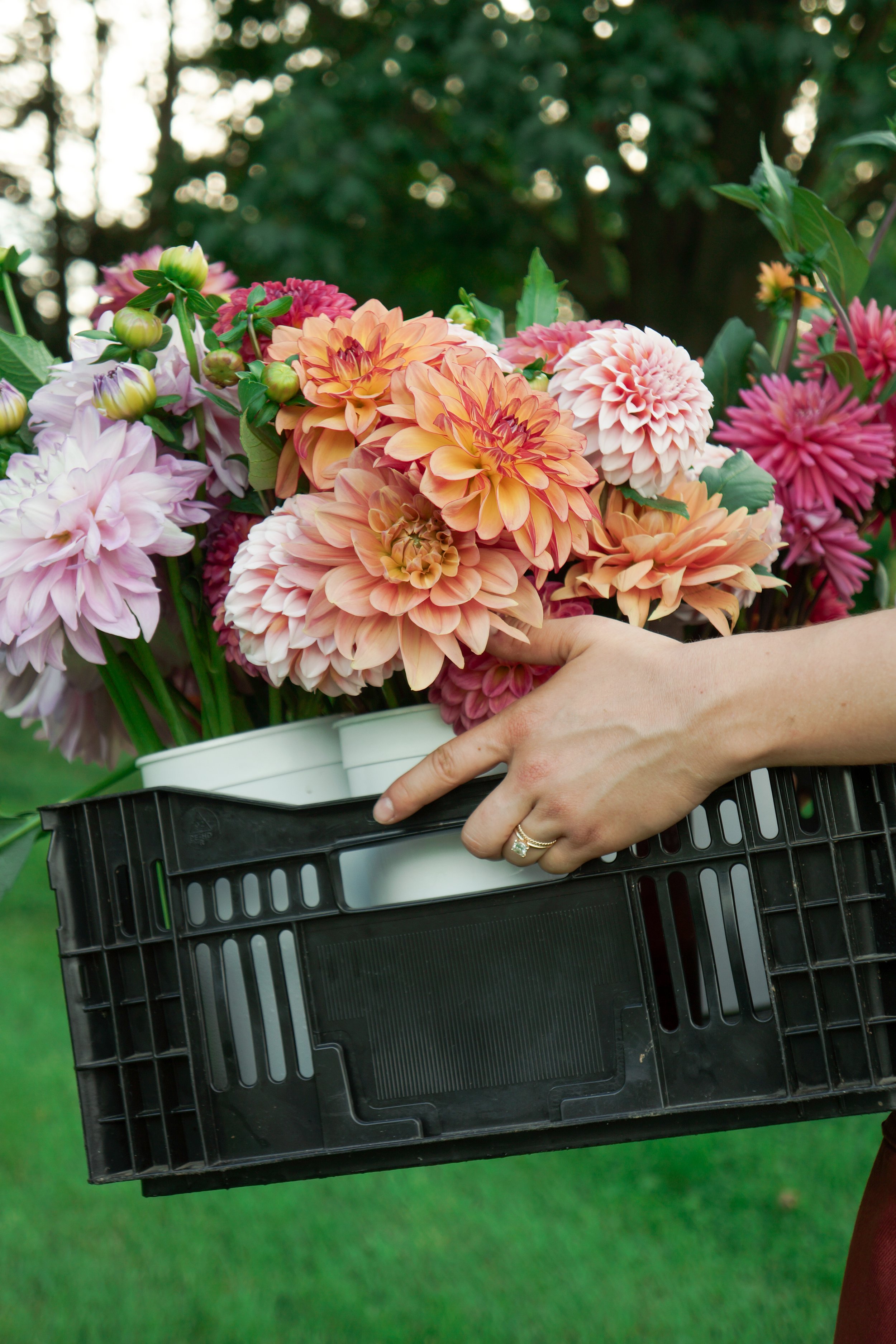 012 | The Accidental Florist: Wedding Florals on a Budget