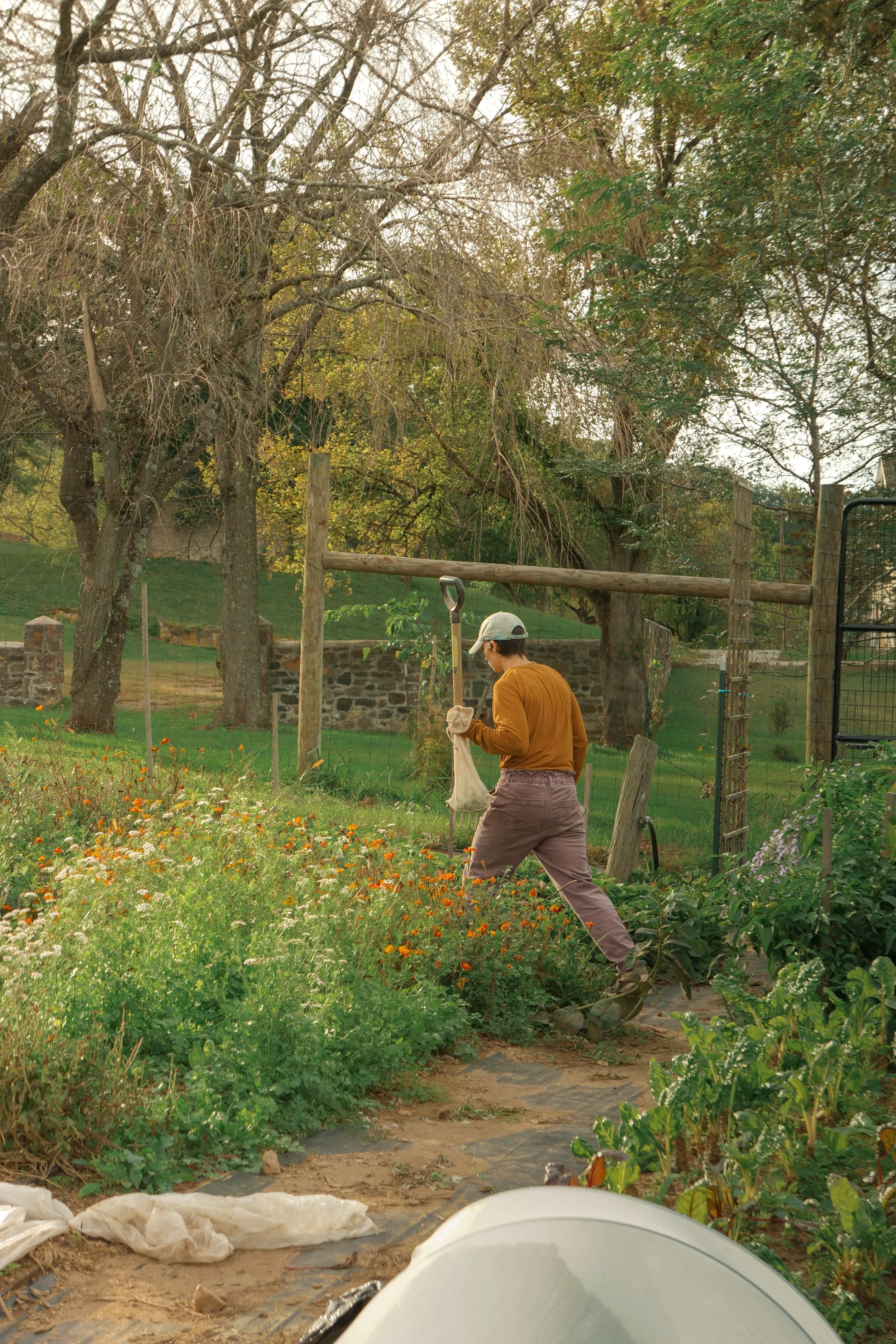 013 | From the Field : Emergent Abundance Farming Collective