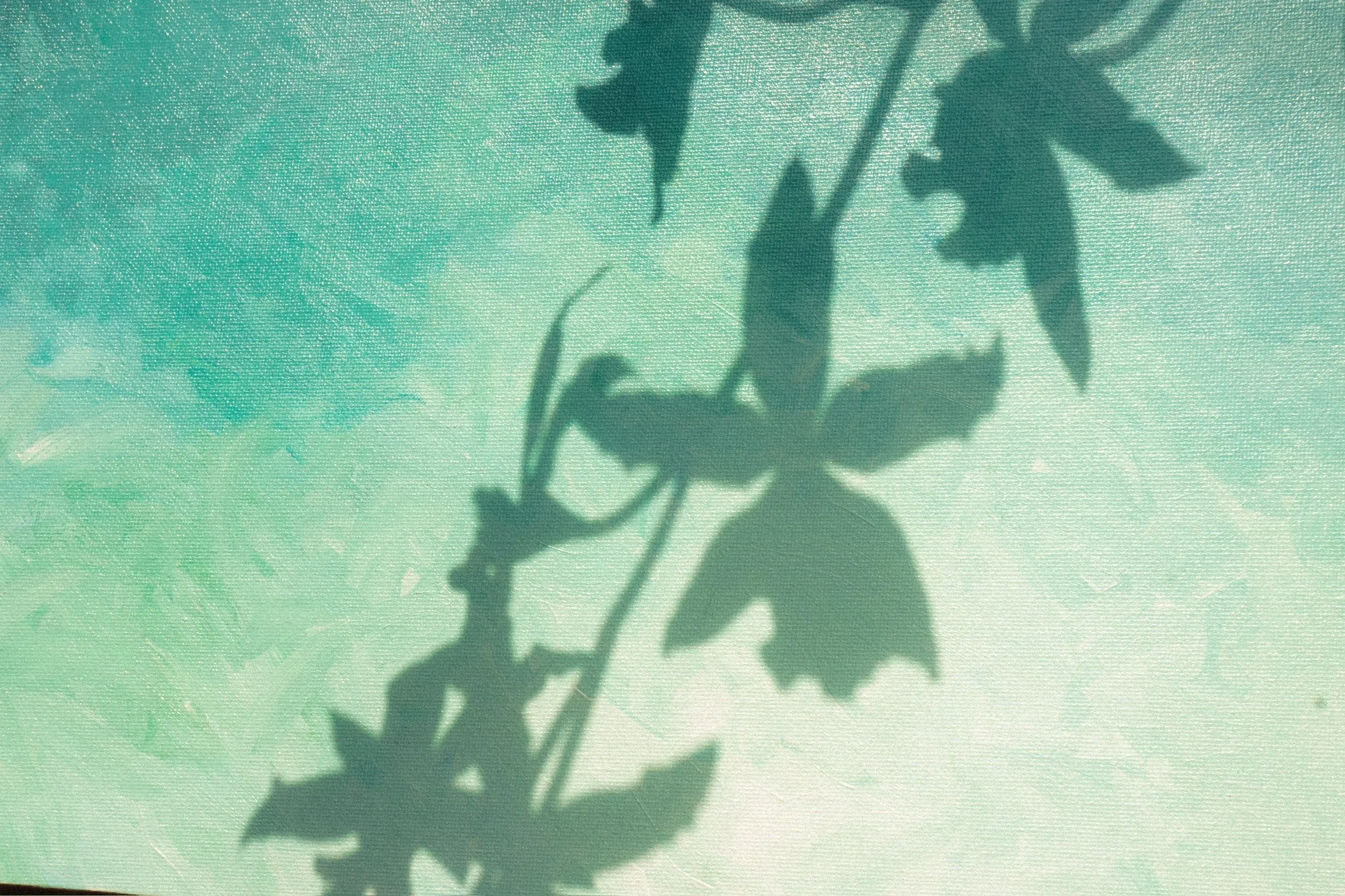 DSC03410.jpeg