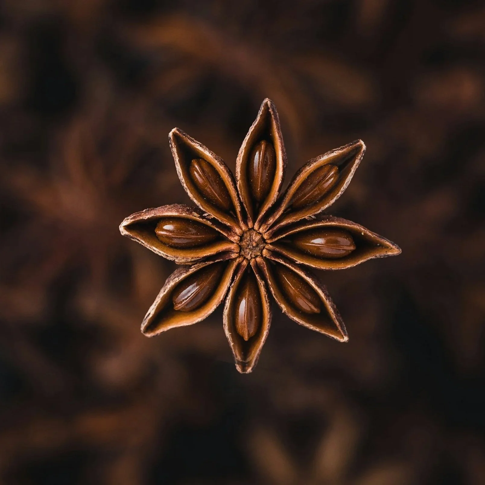 unsplash-image-1RrszXCTq5U.jpg