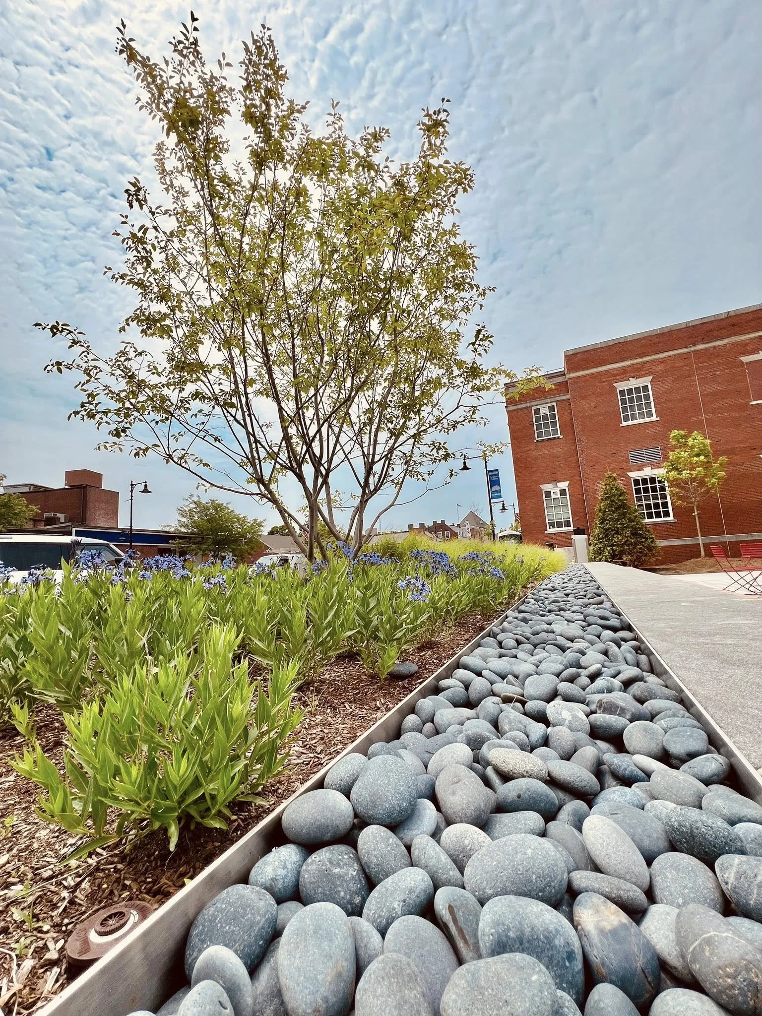 The landscaped Town Green during with an outdoor seating area featuring a small tree, green plants with purple flowers, a brick building, and a walkway with a narrow strip of smooth gray river rocks.