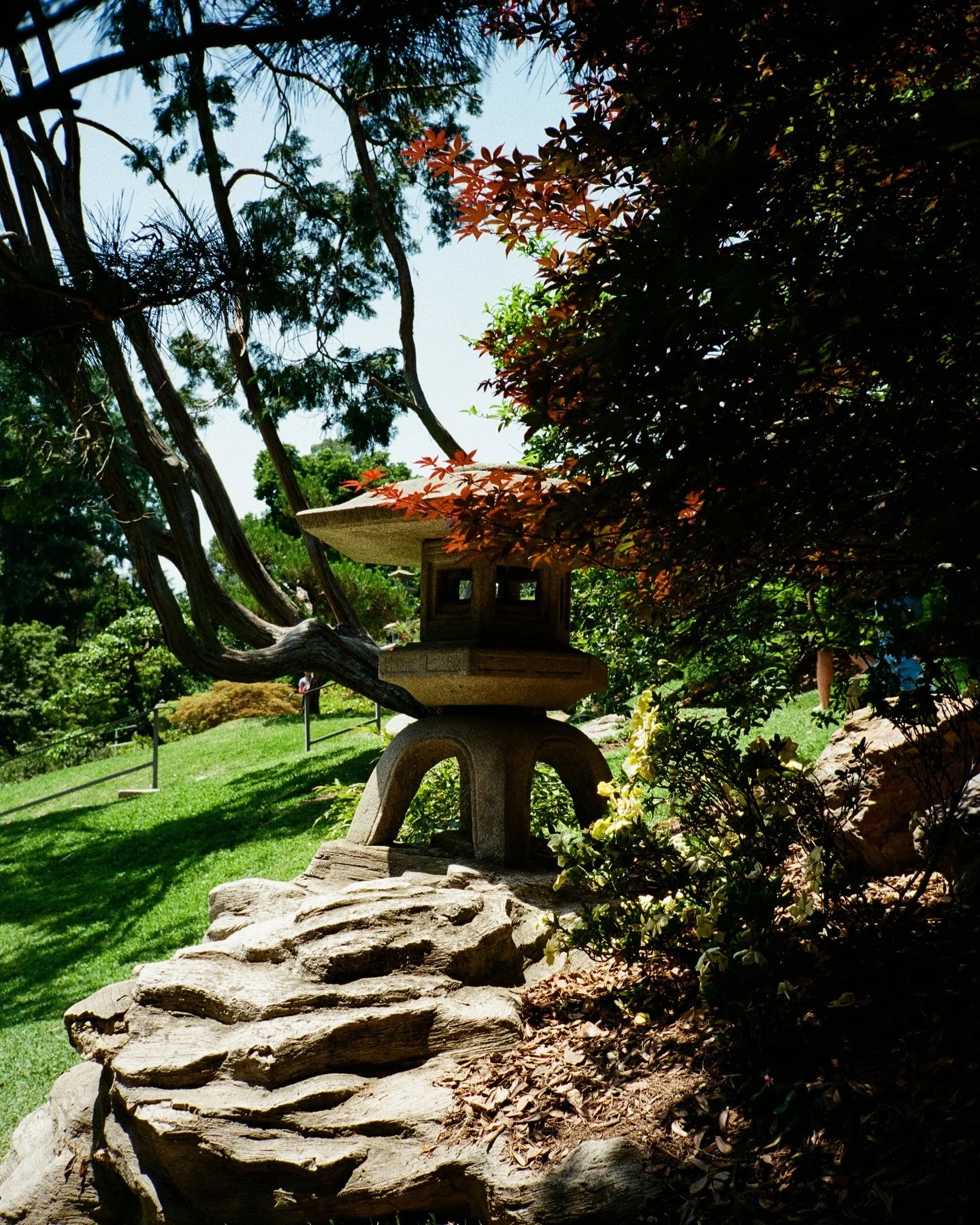 miscellaneous film from around los angeles; save these spots if you need fun weekend outing ideas! 

📍huntington library &amp; gardens
📍mar vista farmer&rsquo;s market
📍long beach shoreline 
📍los angeles county arboretum

#losangeles #thingstodoi