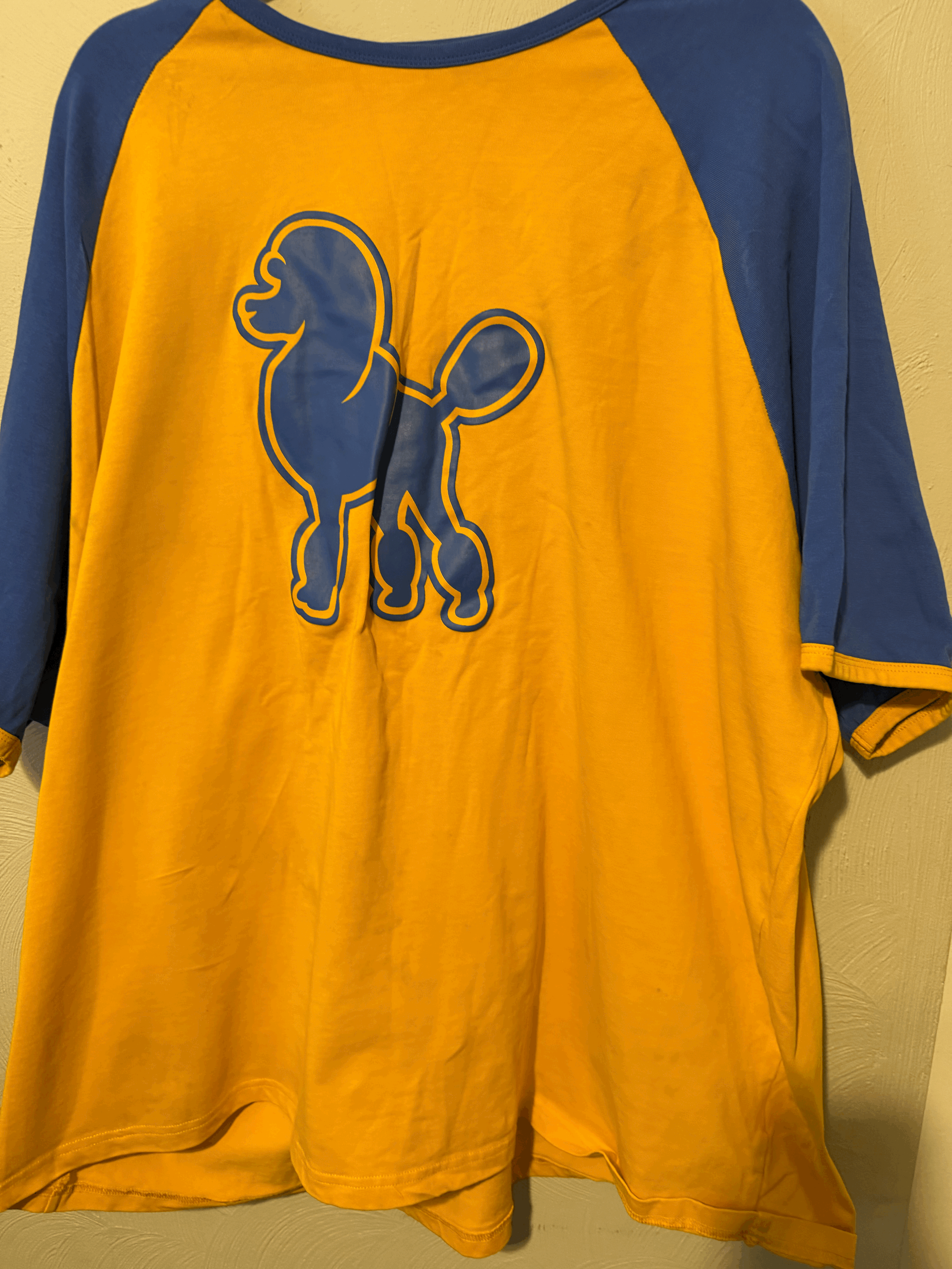 Blue and Gold Sigma Gamma Rho Poodle Shirt 4XL - Great Condition