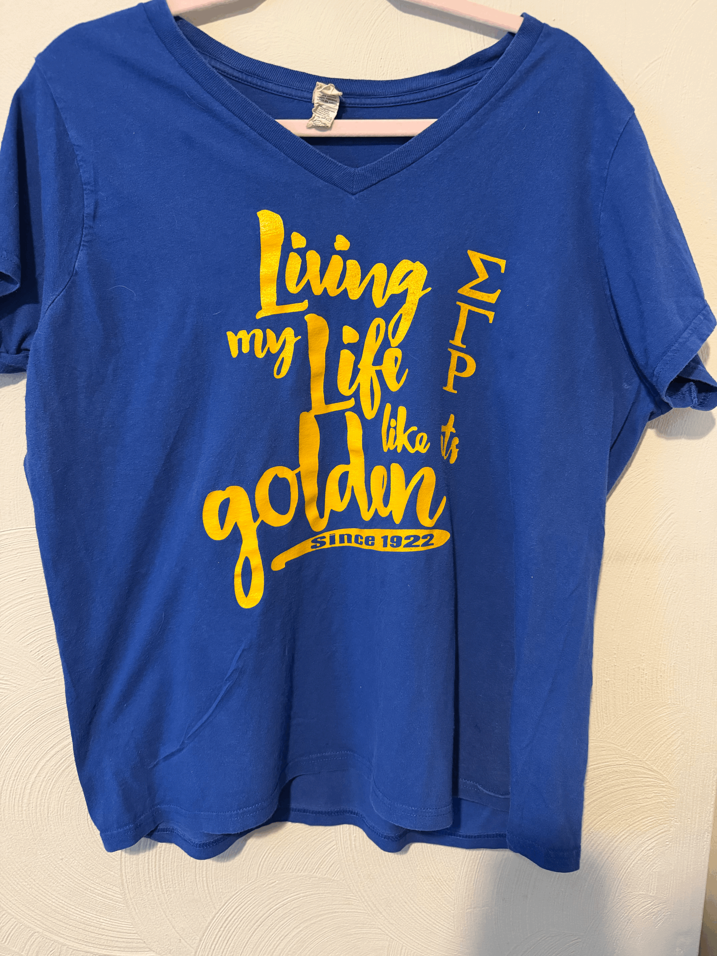 Sigma Gamma Rho Blue T-shirt: Size 4XL (tiny stain)