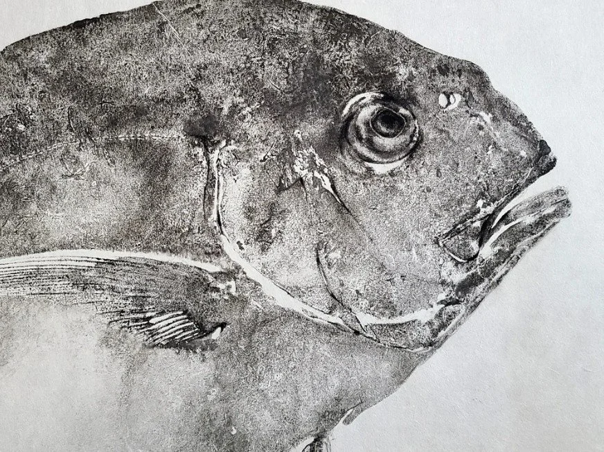 African Pompano2.jpg