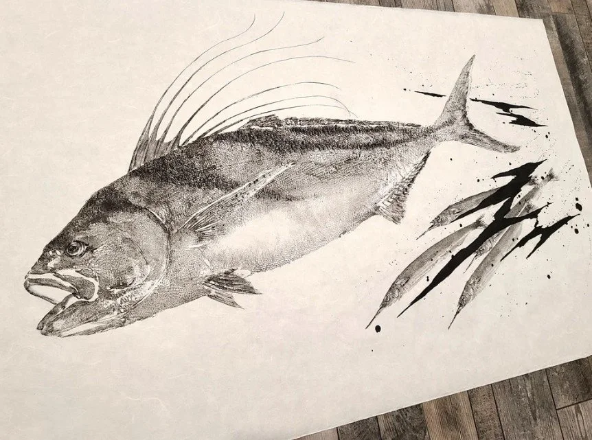Roosterfish2.jpg