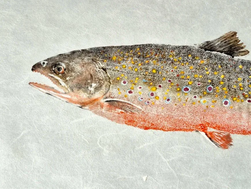 Brook Trout2.jpg