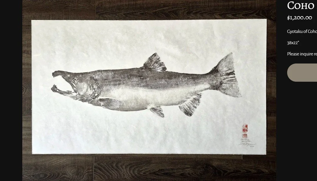 Coho Salmon - Spawning Pattern.jpg