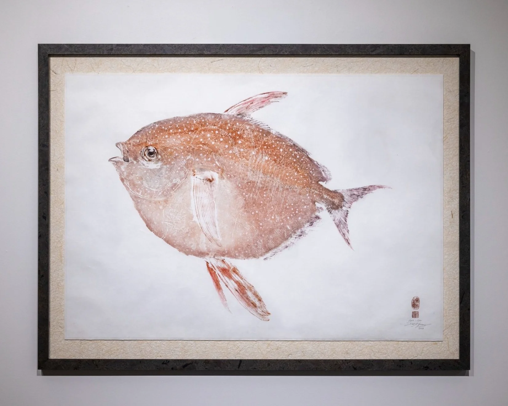 Opah in Natural Color.jpg