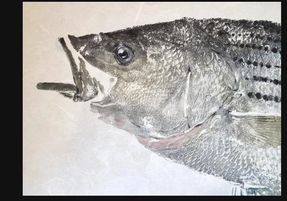 Striped Bass Color3.jpg