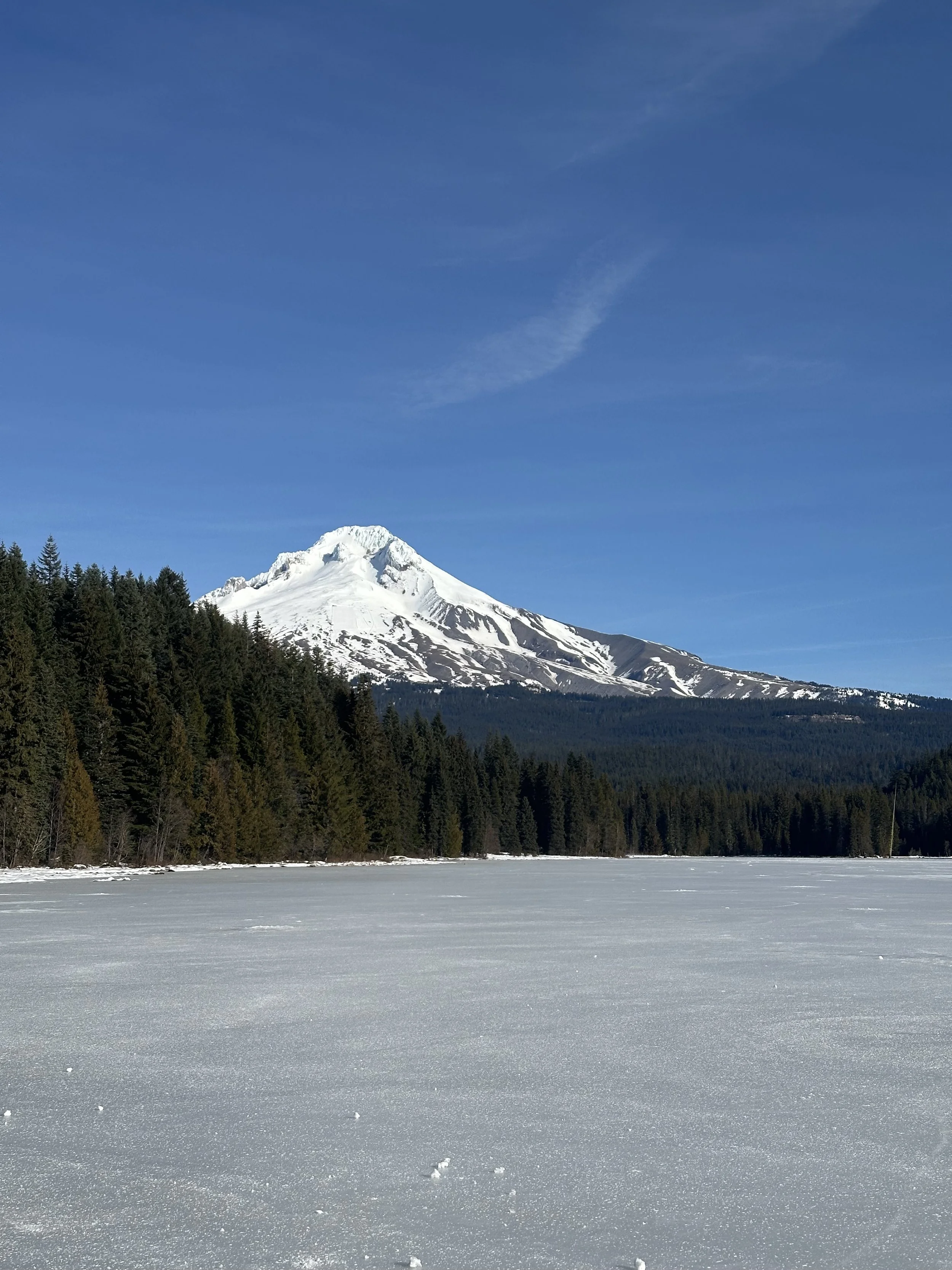 IMG_5572 - Copy.jpeg