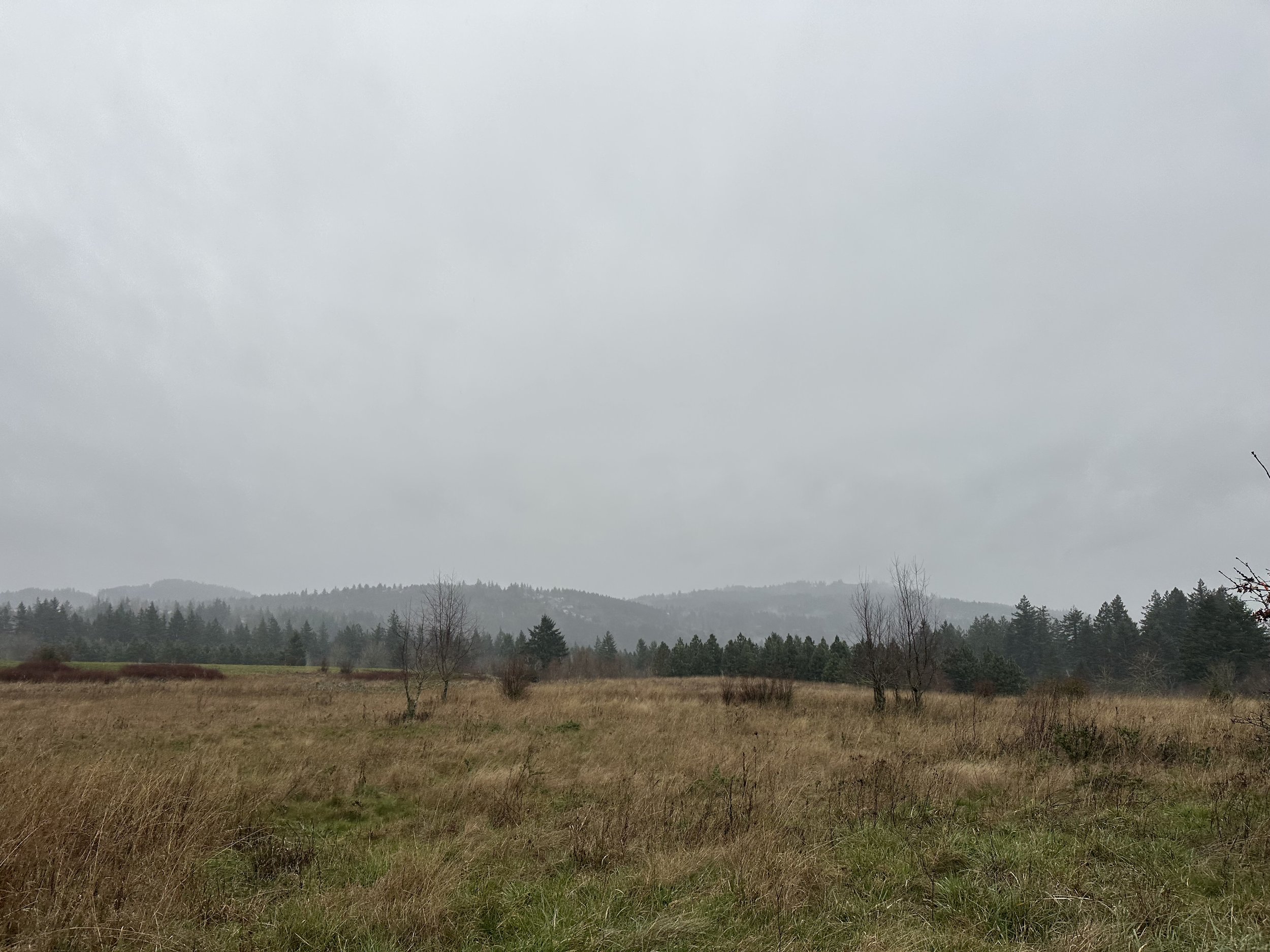 IMG_5830 - Copy.jpeg