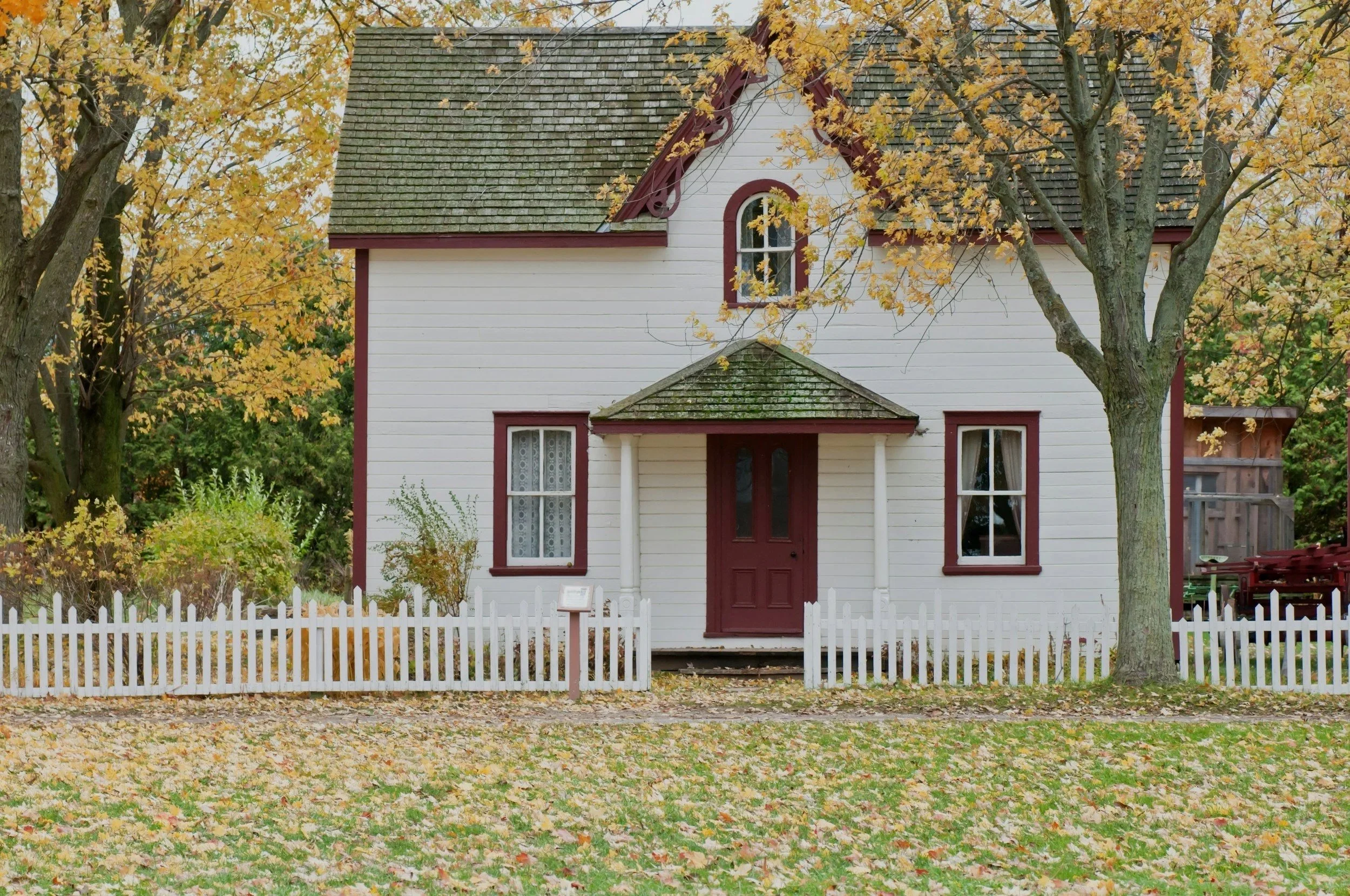 White house with red trim, surrounded by yellow autumn trees, with a white picket fence in front.