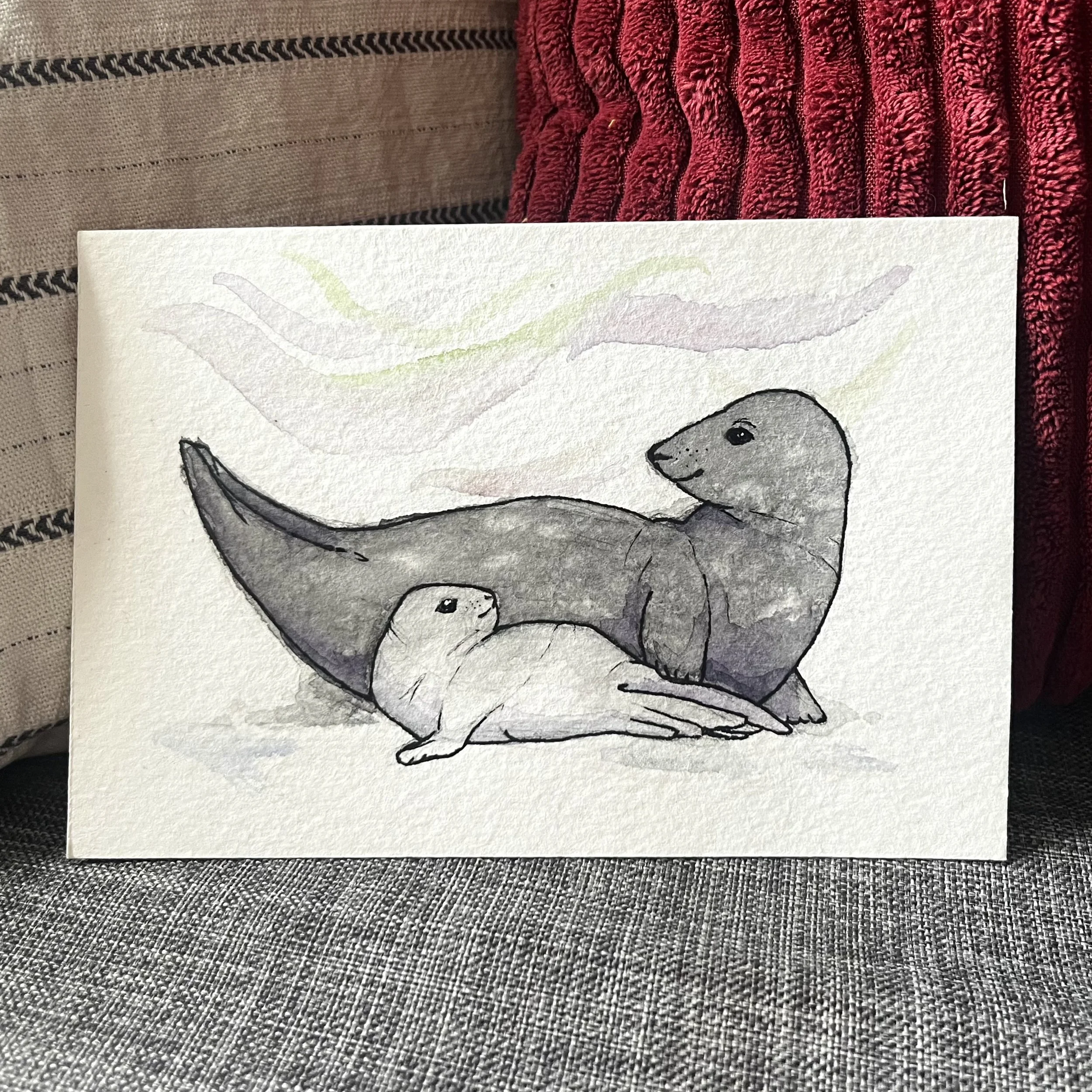 Weddell Seals