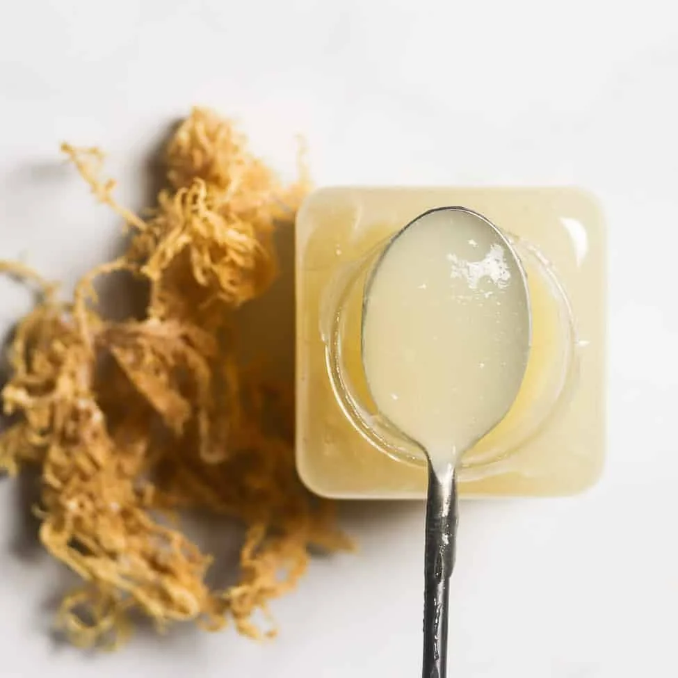 Sea Moss Jelly