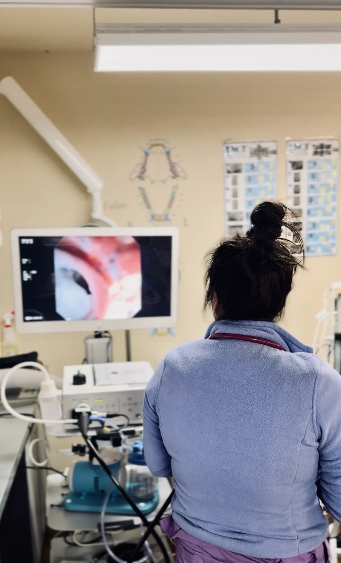 endoscopy/rhinoscopy/otoscopy