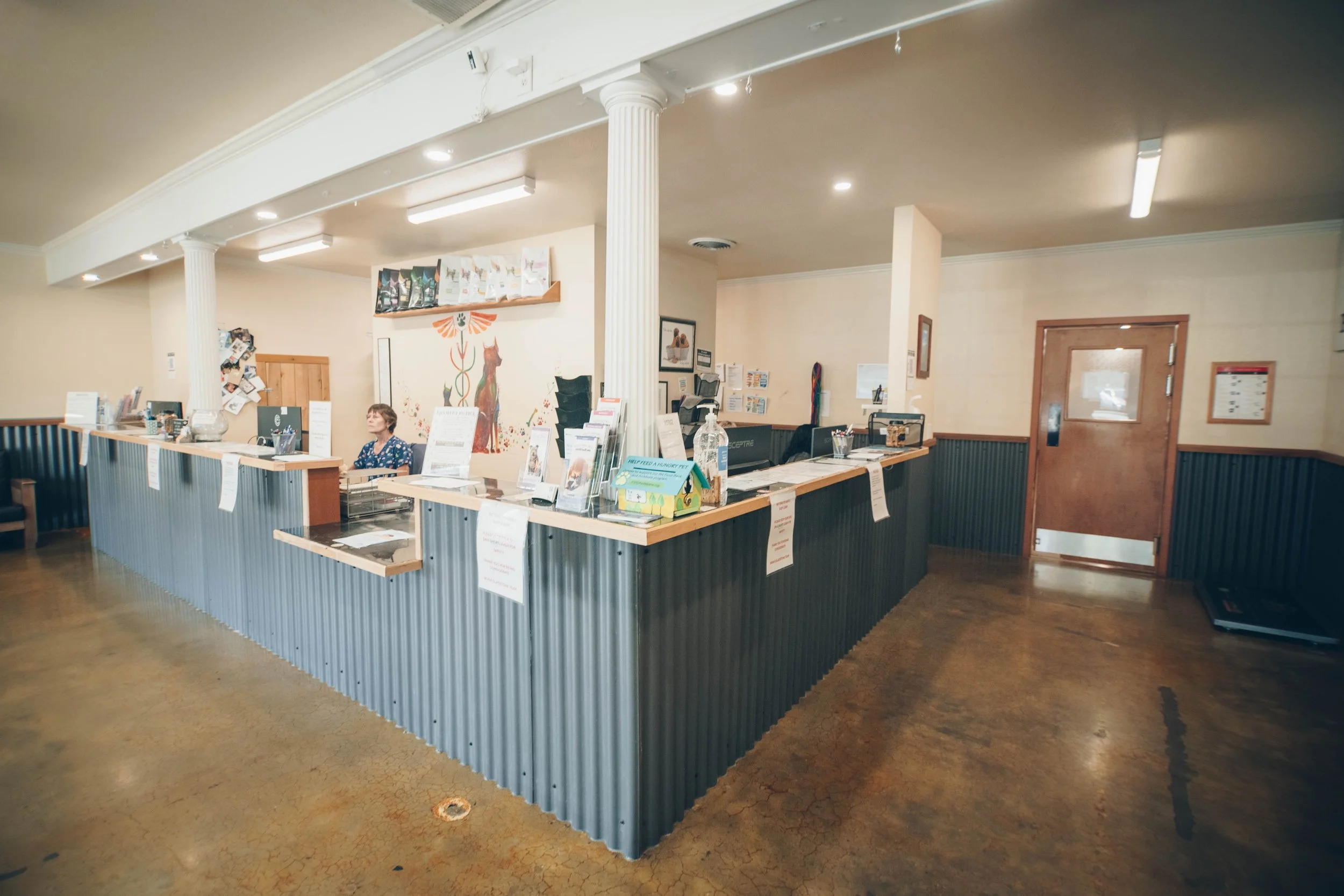 Vaccine clinic reception area with a curved counter, posters, brochures, and a staff member seated behind the counter. The room has a wood floor, cream walls, and a mural of a cat with medical symbols.