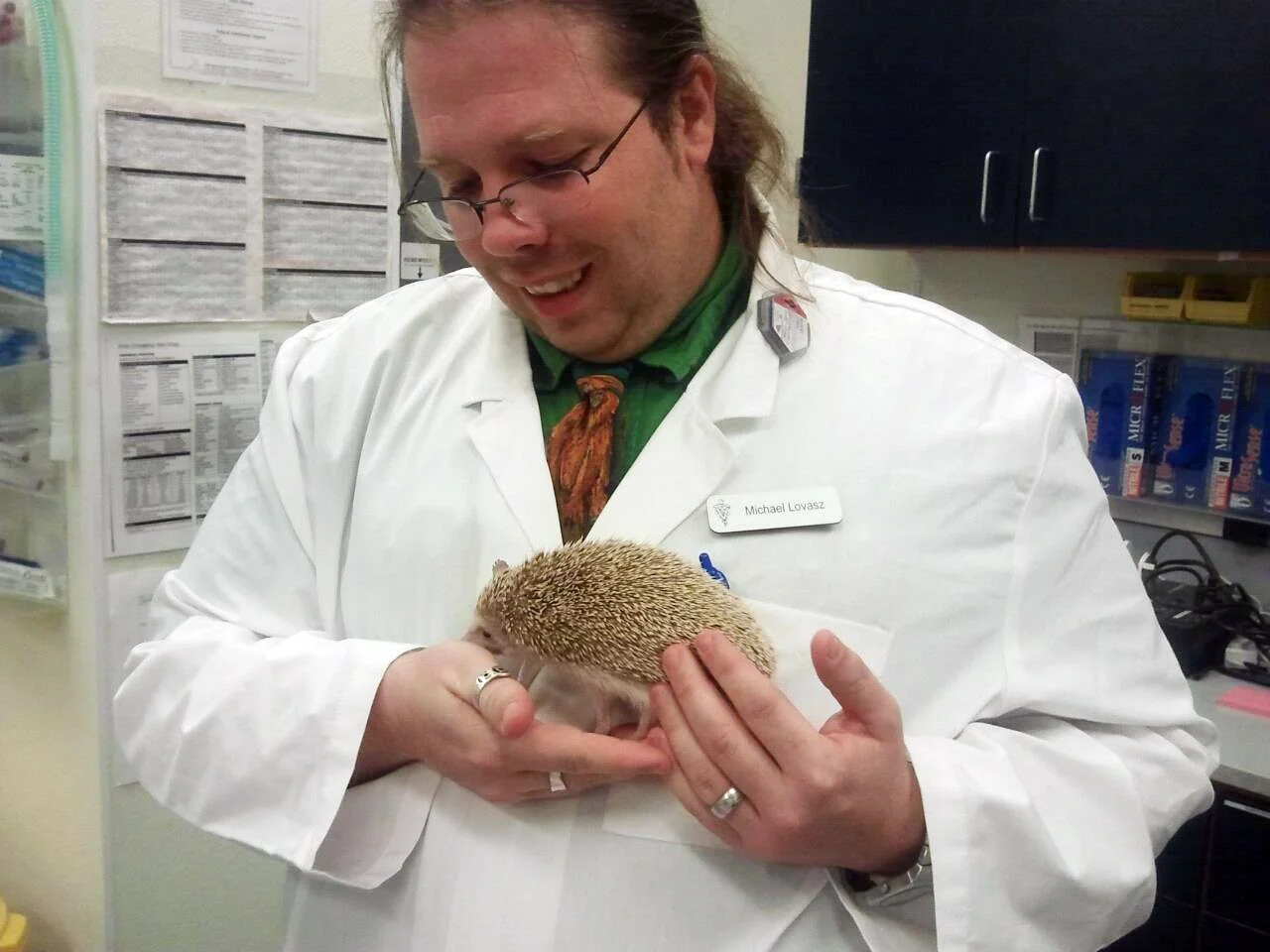 Anesthesia Vet Consulting