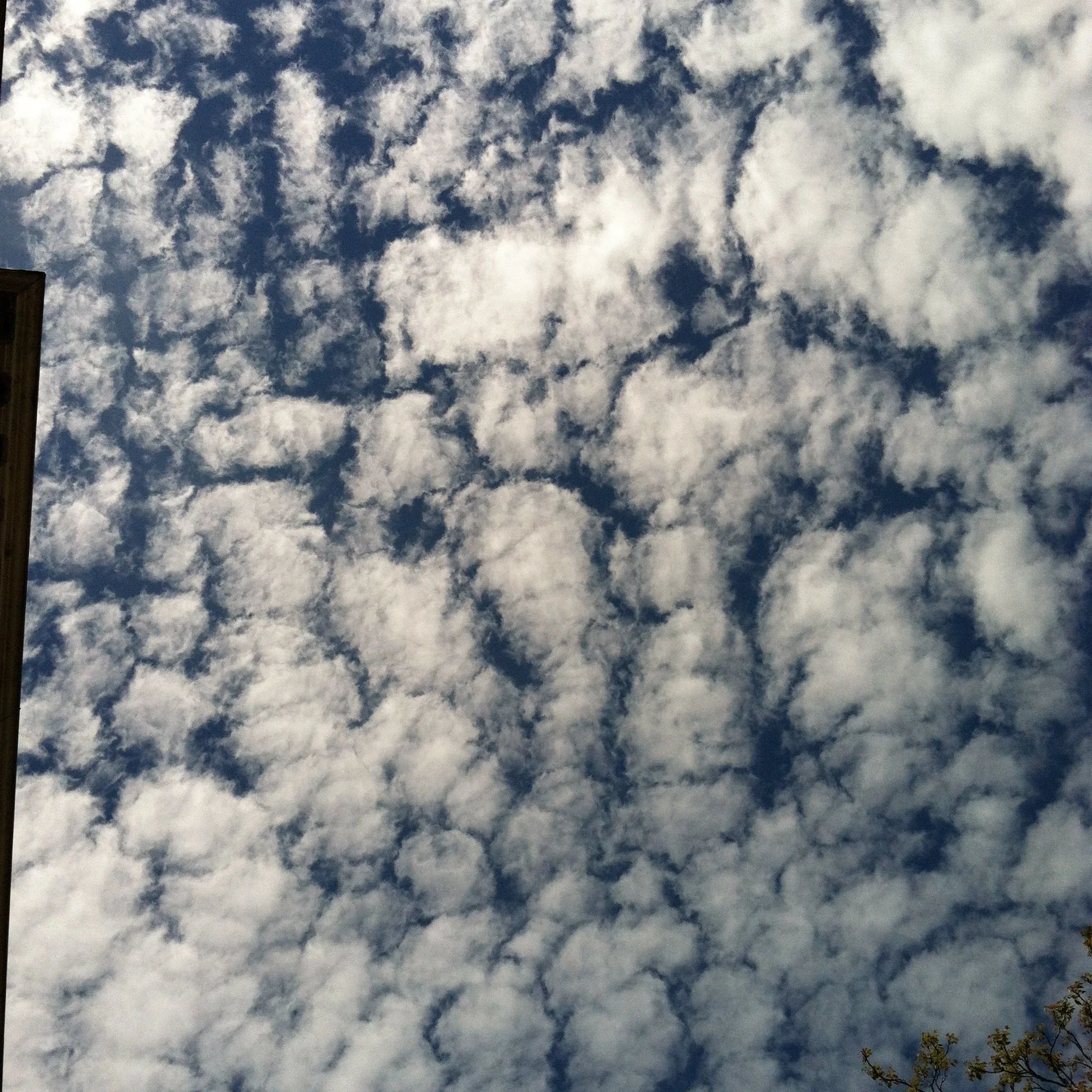 Sky.jpg