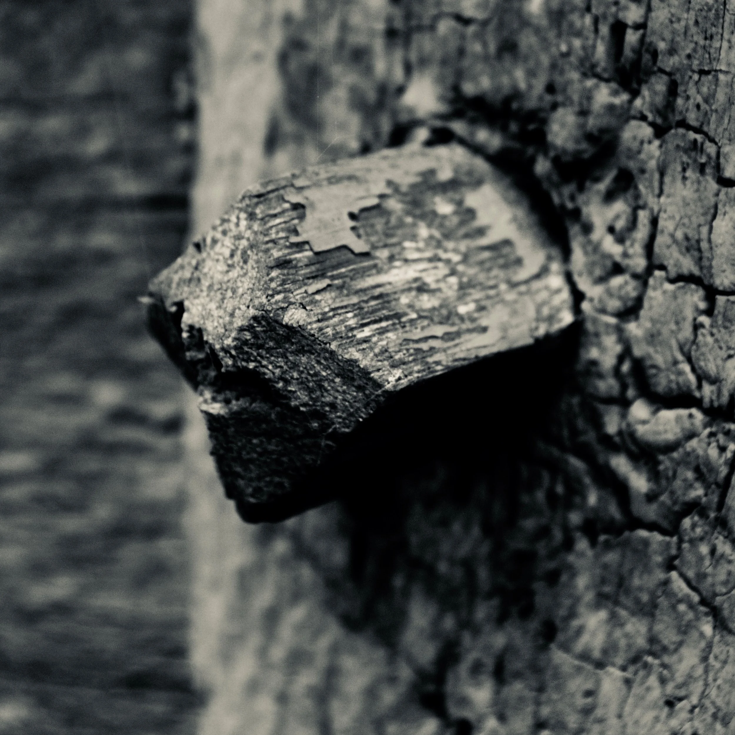 DSC_7377.jpg