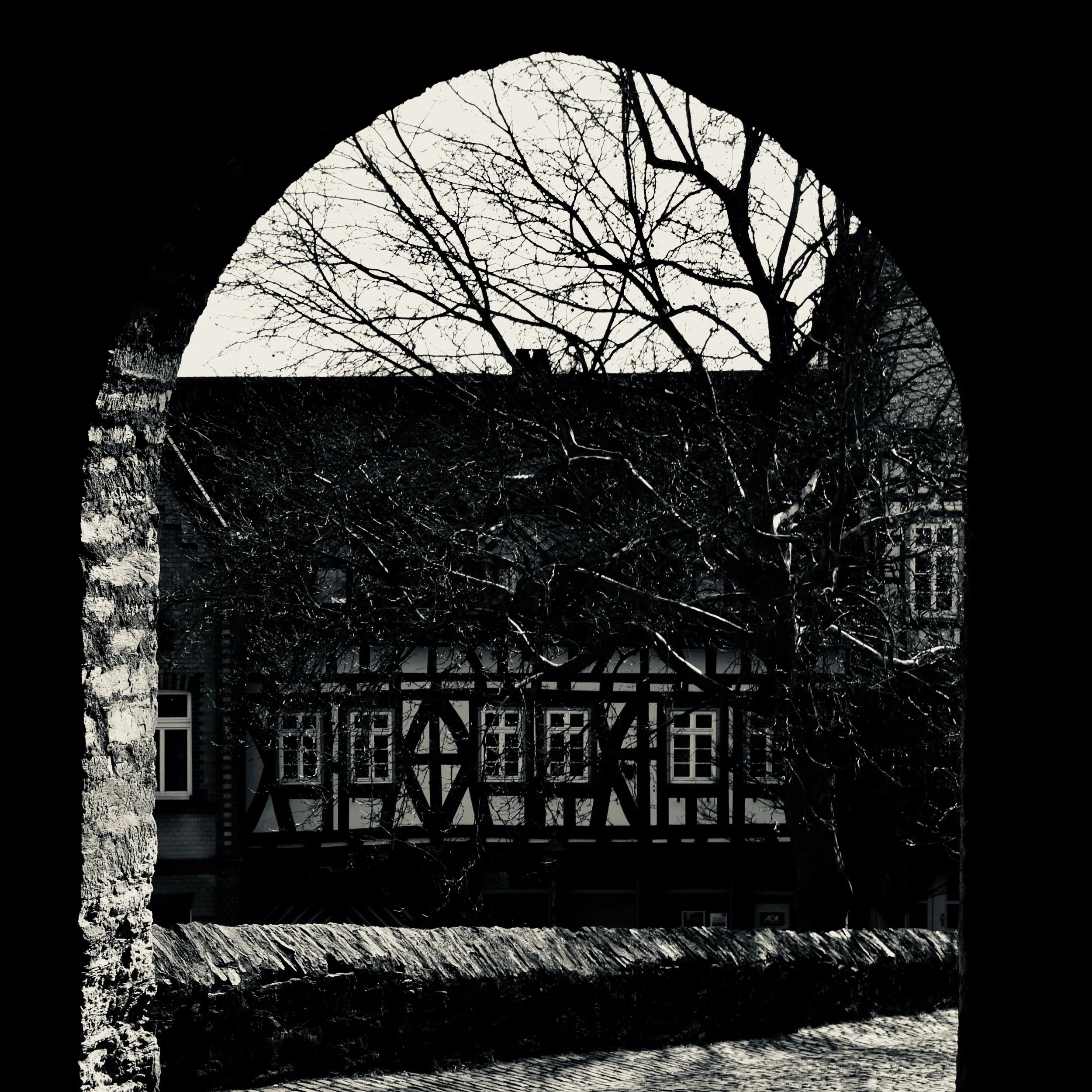 DSC_6916.jpeg