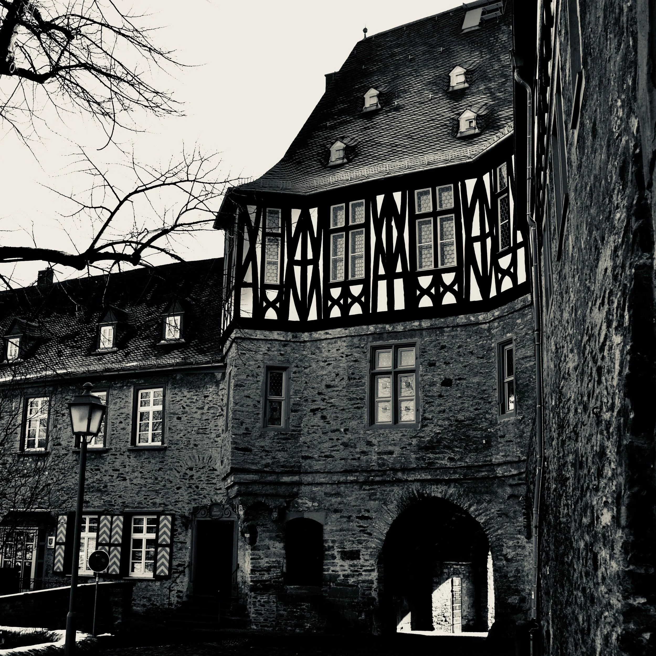 DSC_6894.jpeg