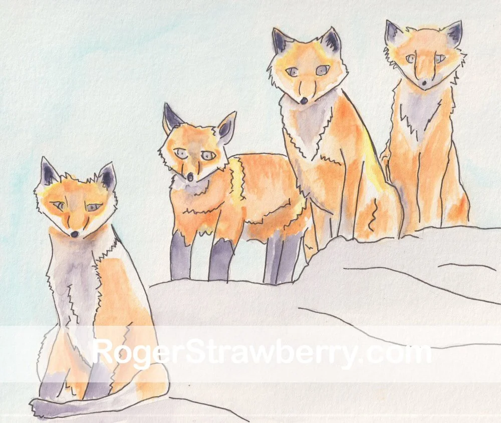 Watercolor illustration of four foxes sitting on rocks, facing forward with slightly varied expressions, in light pastel colors.