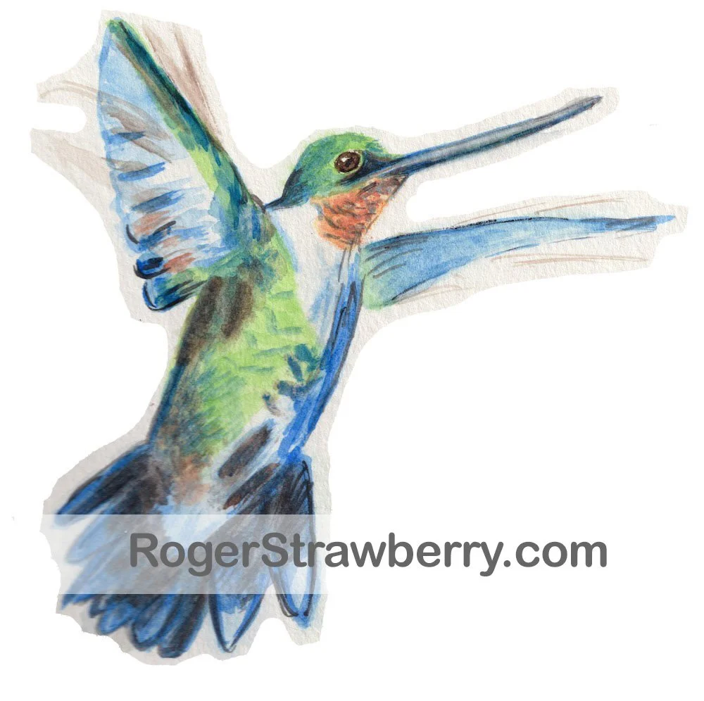 Watercolor illustration of a hummingbird in flight with green, blue, and orange feathers.