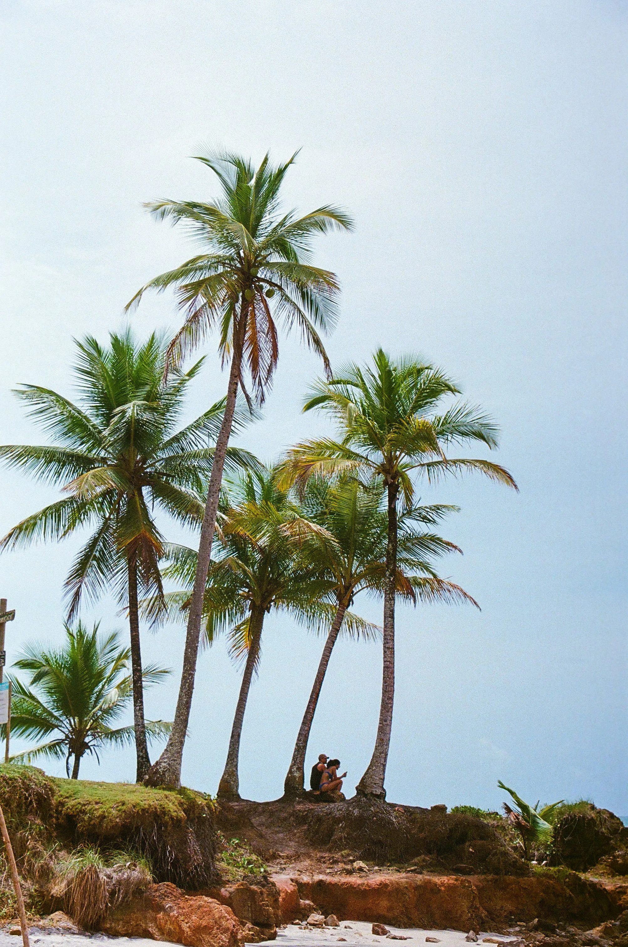 edit (11 of 35).JPG