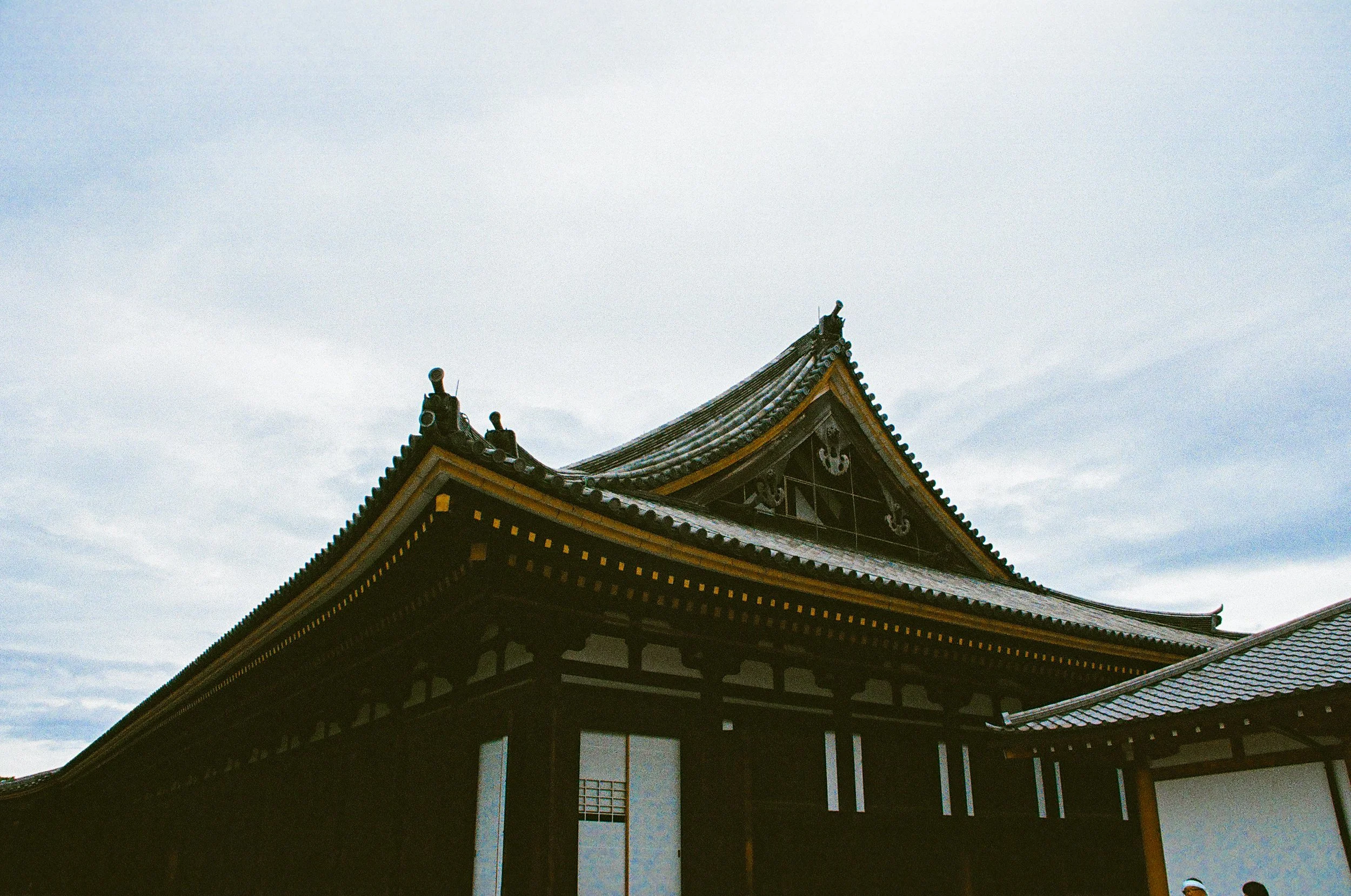 edit (8 of 108).JPG