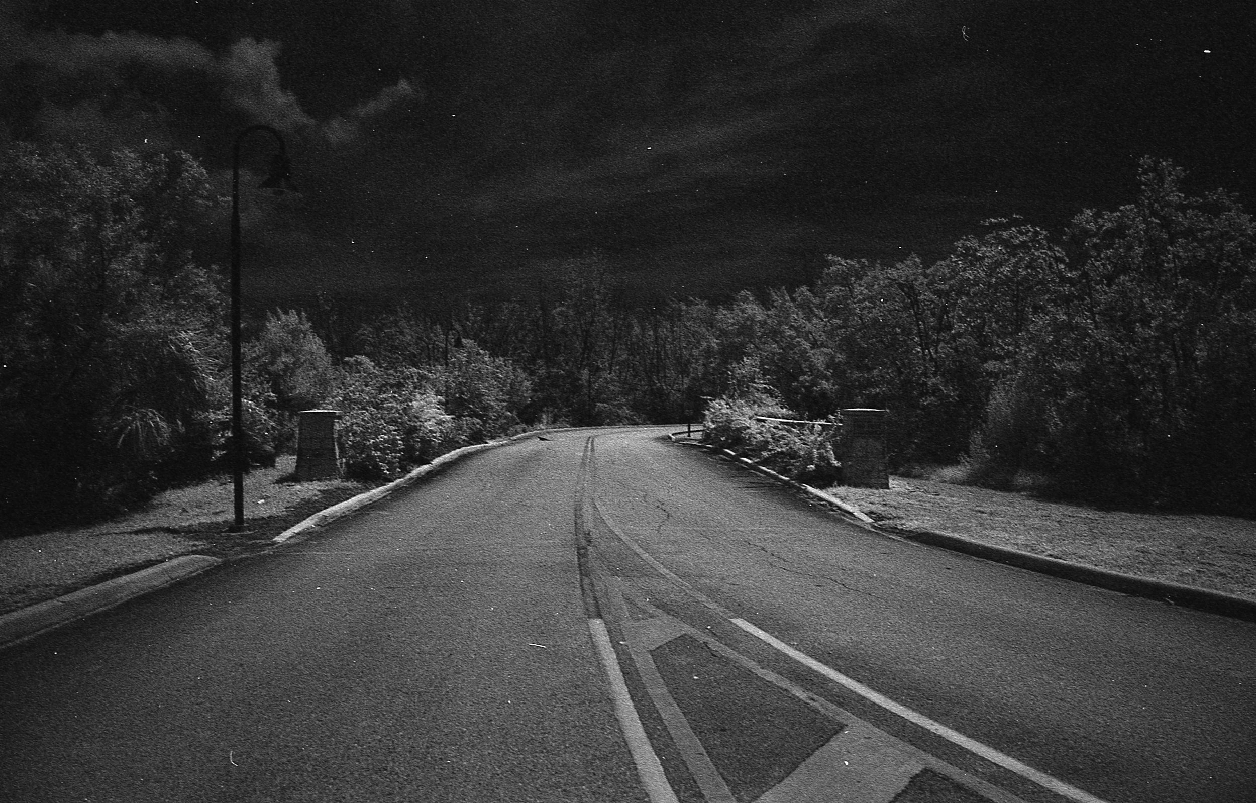 The view of an empty road with a woody area on either side. There is on light pole on the left side of the road.