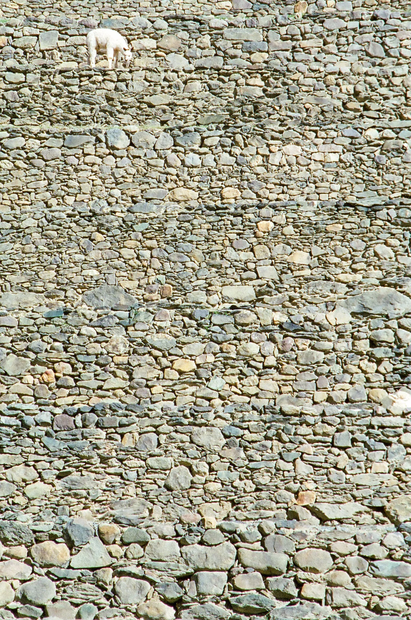 edit (15 of 35).JPG