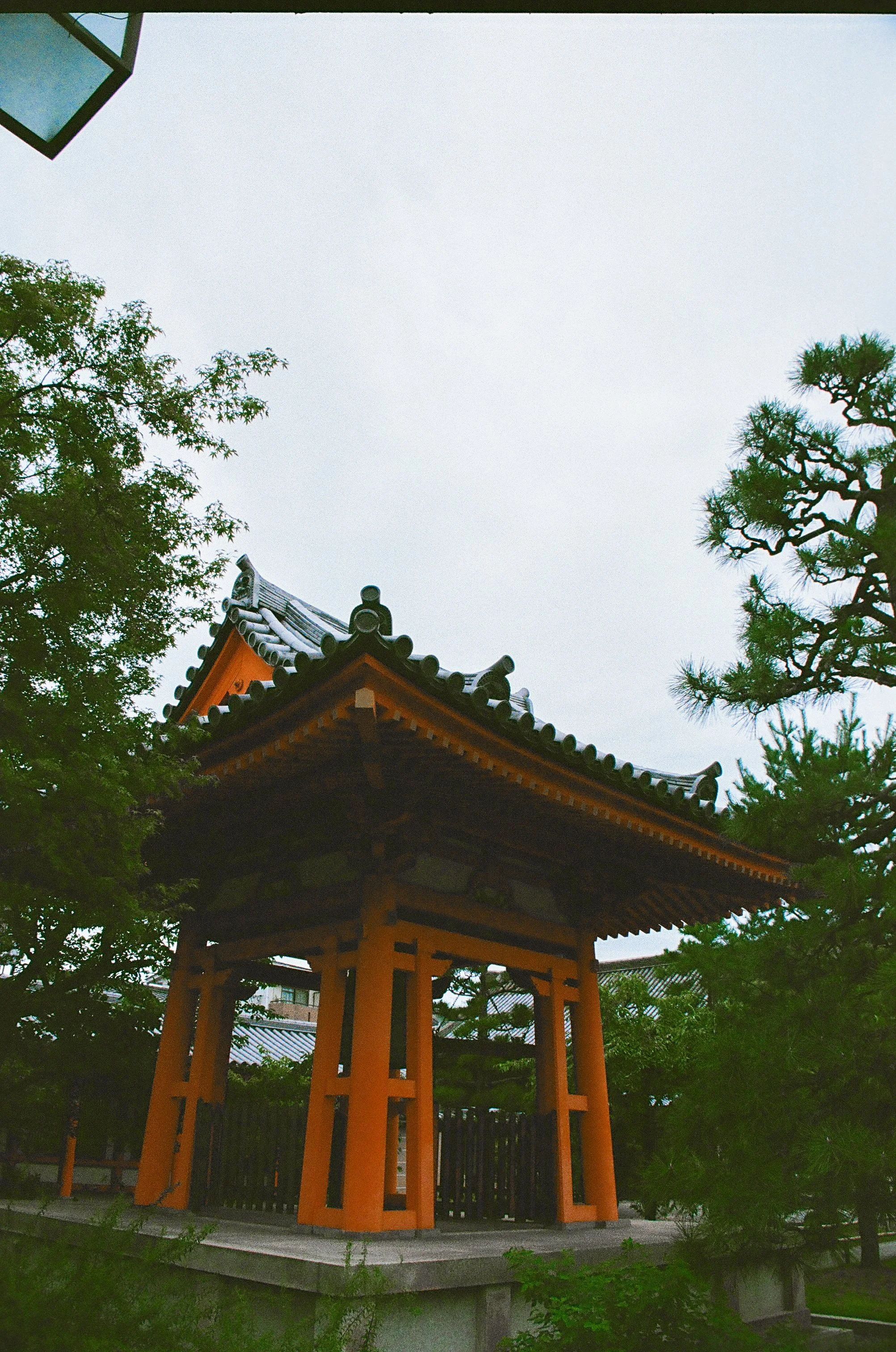 edit (12 of 108).JPG