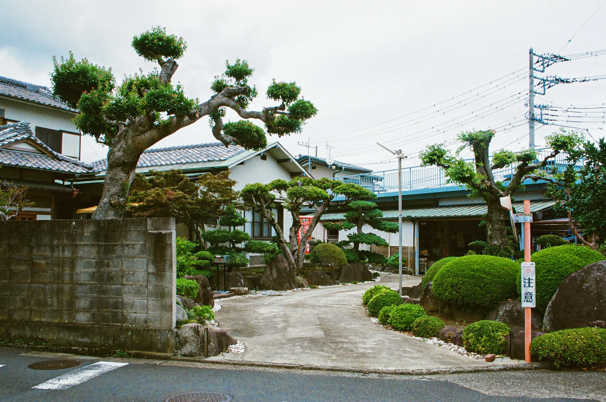 edit (30 of 108).JPG