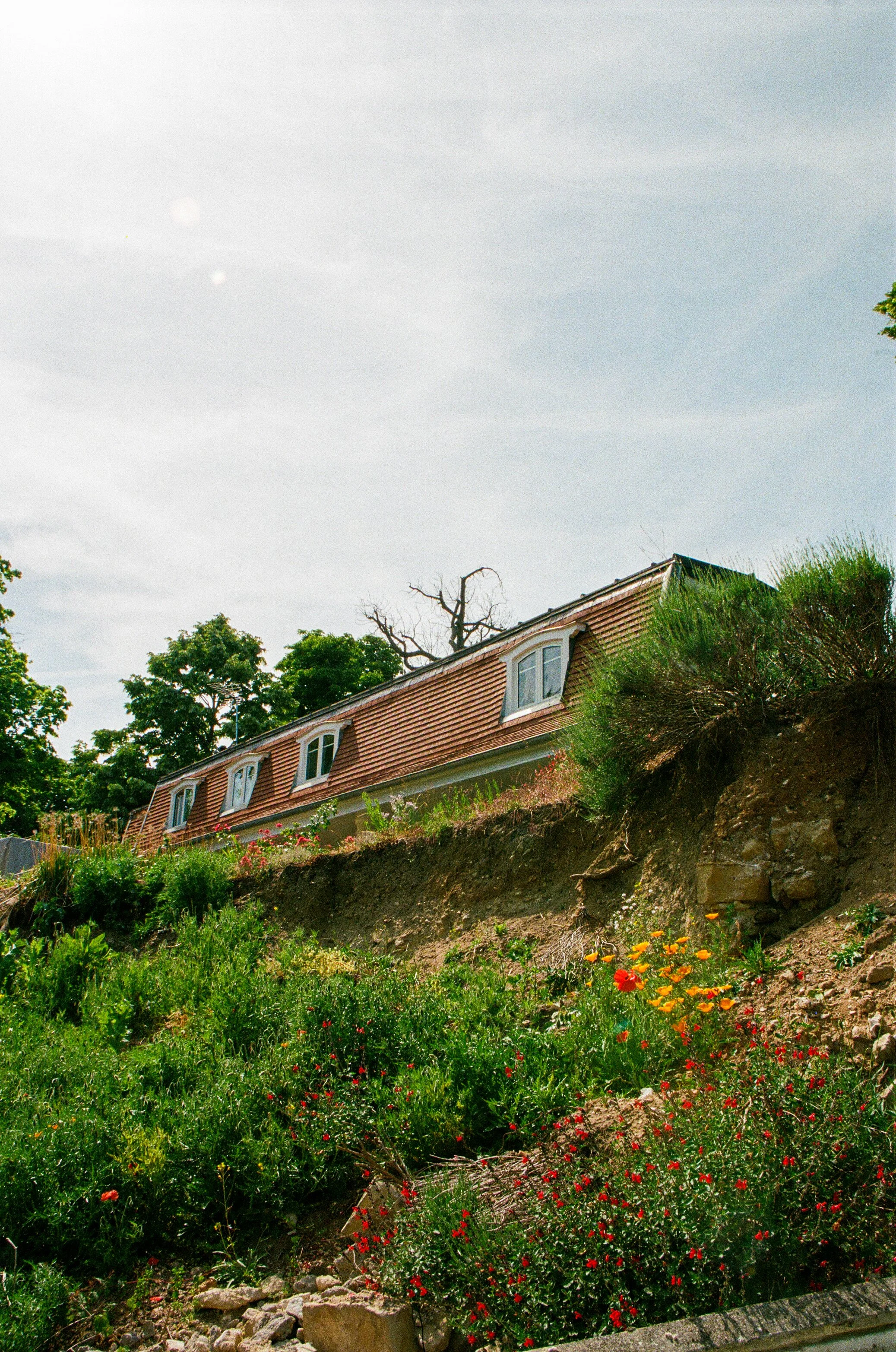 edit (28 of 28).JPG