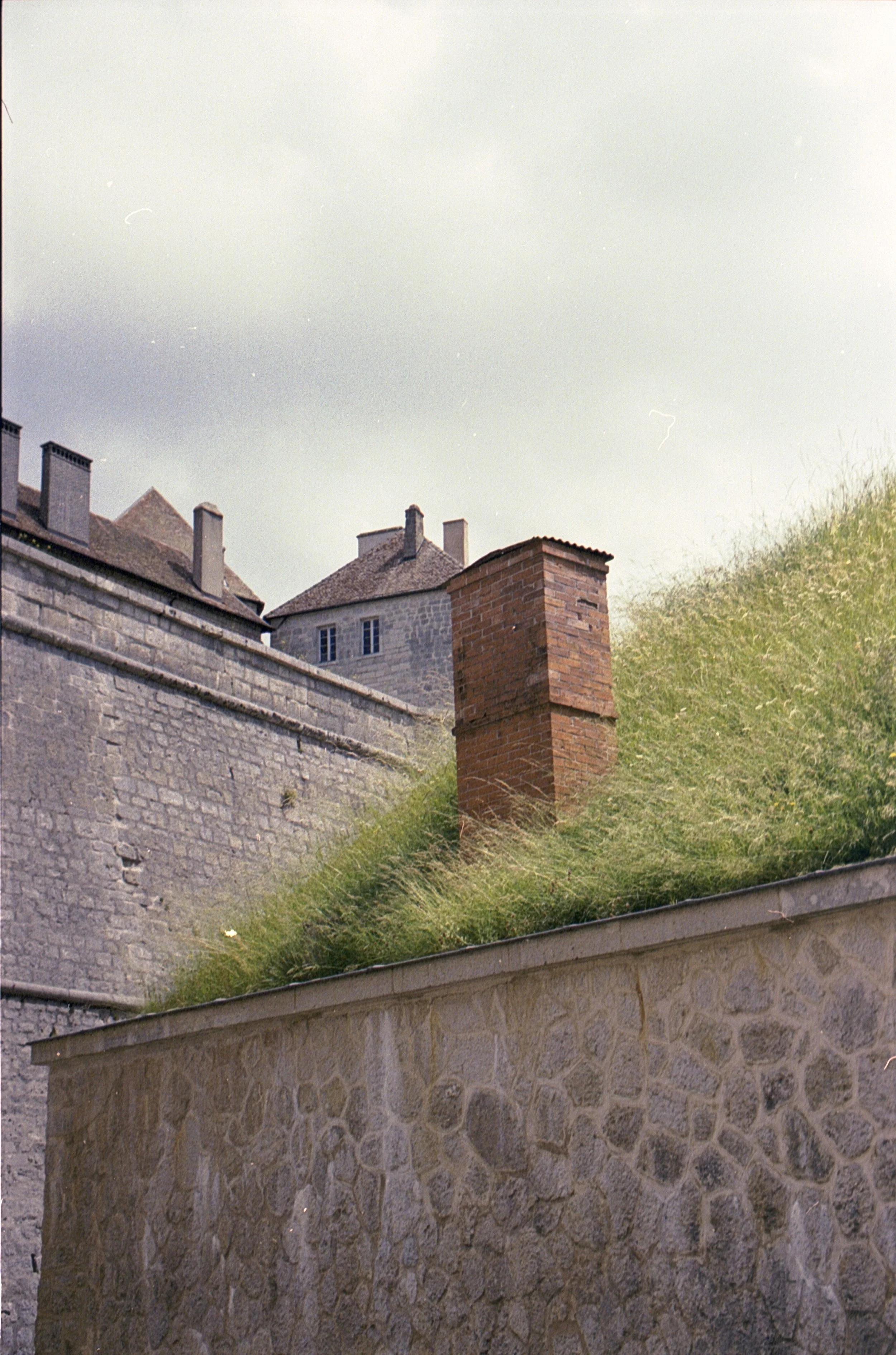 Image 1  12 25.jpg