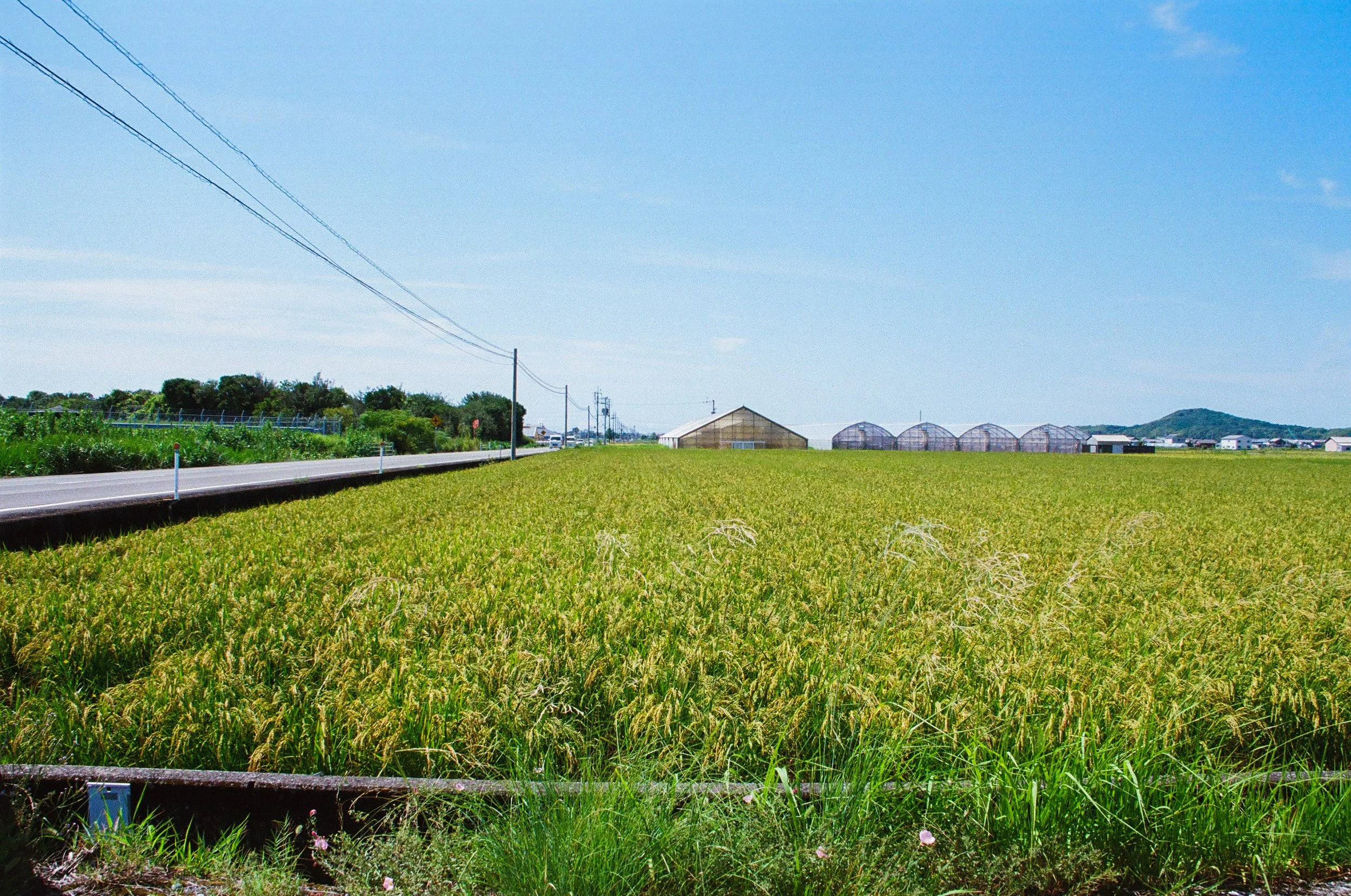 edit (104 of 108).JPG