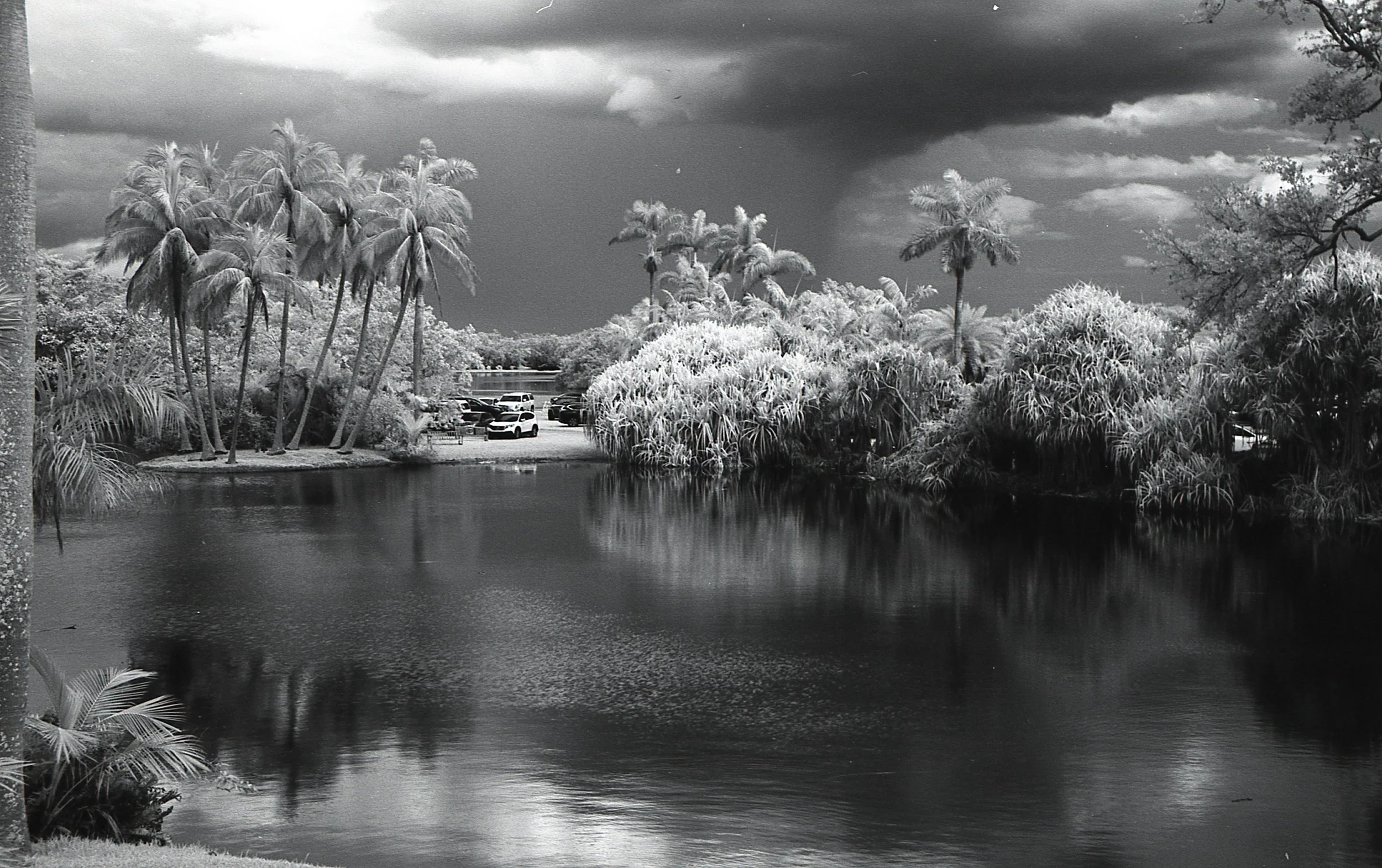 A wide angle of a lake with various trees in the background.