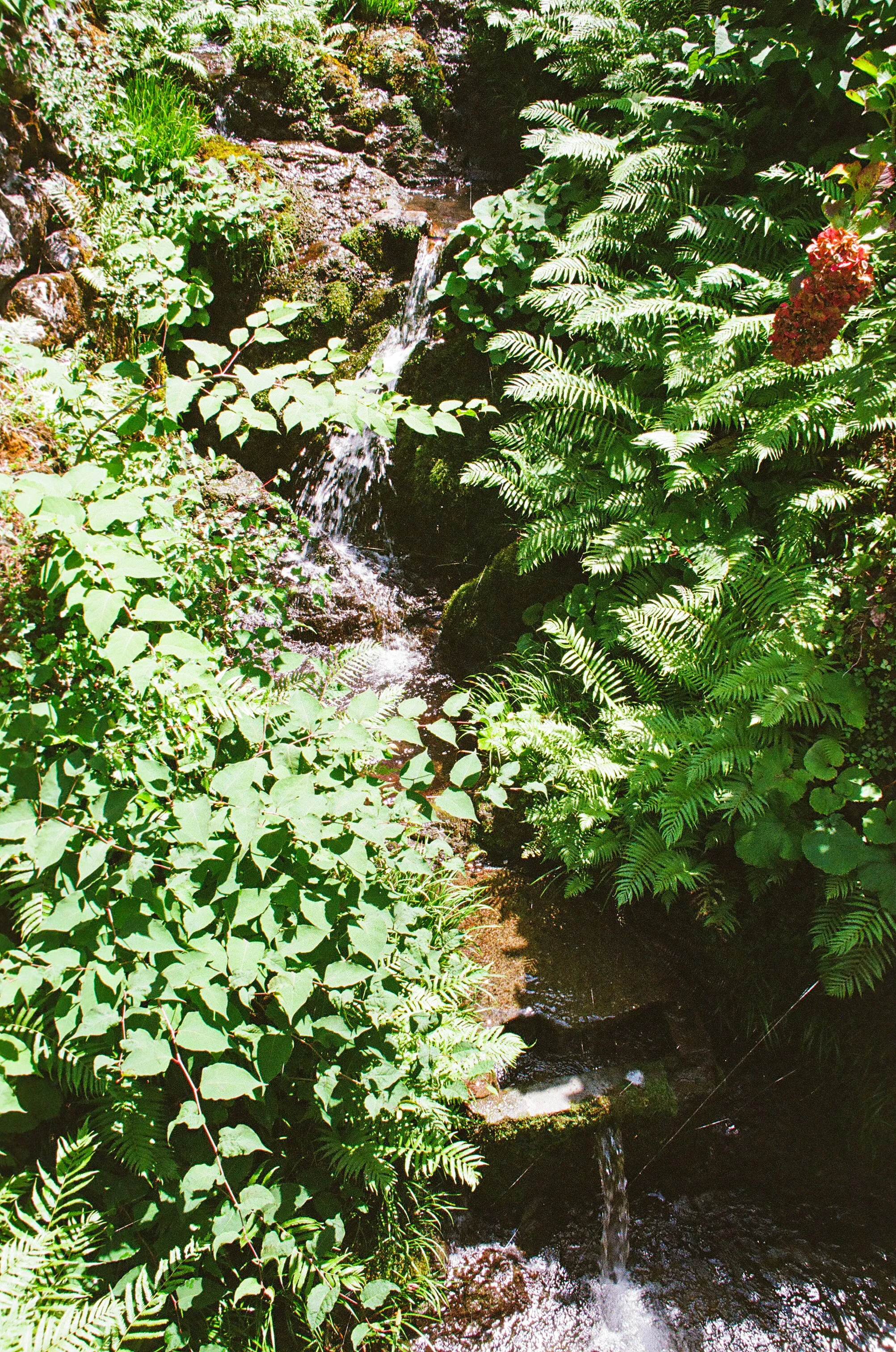 edit (59 of 108).JPG