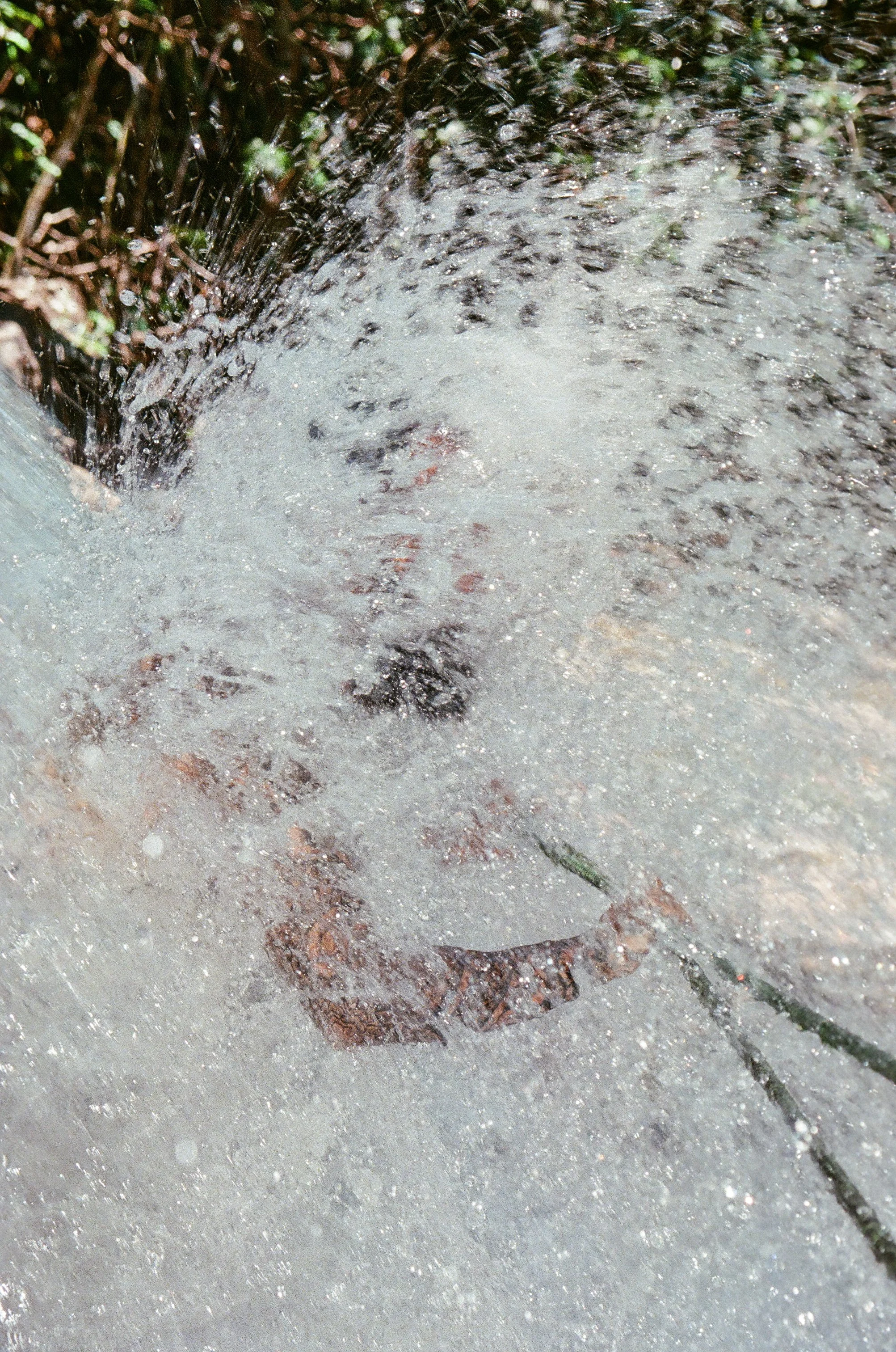 edit (27 of 31).JPG