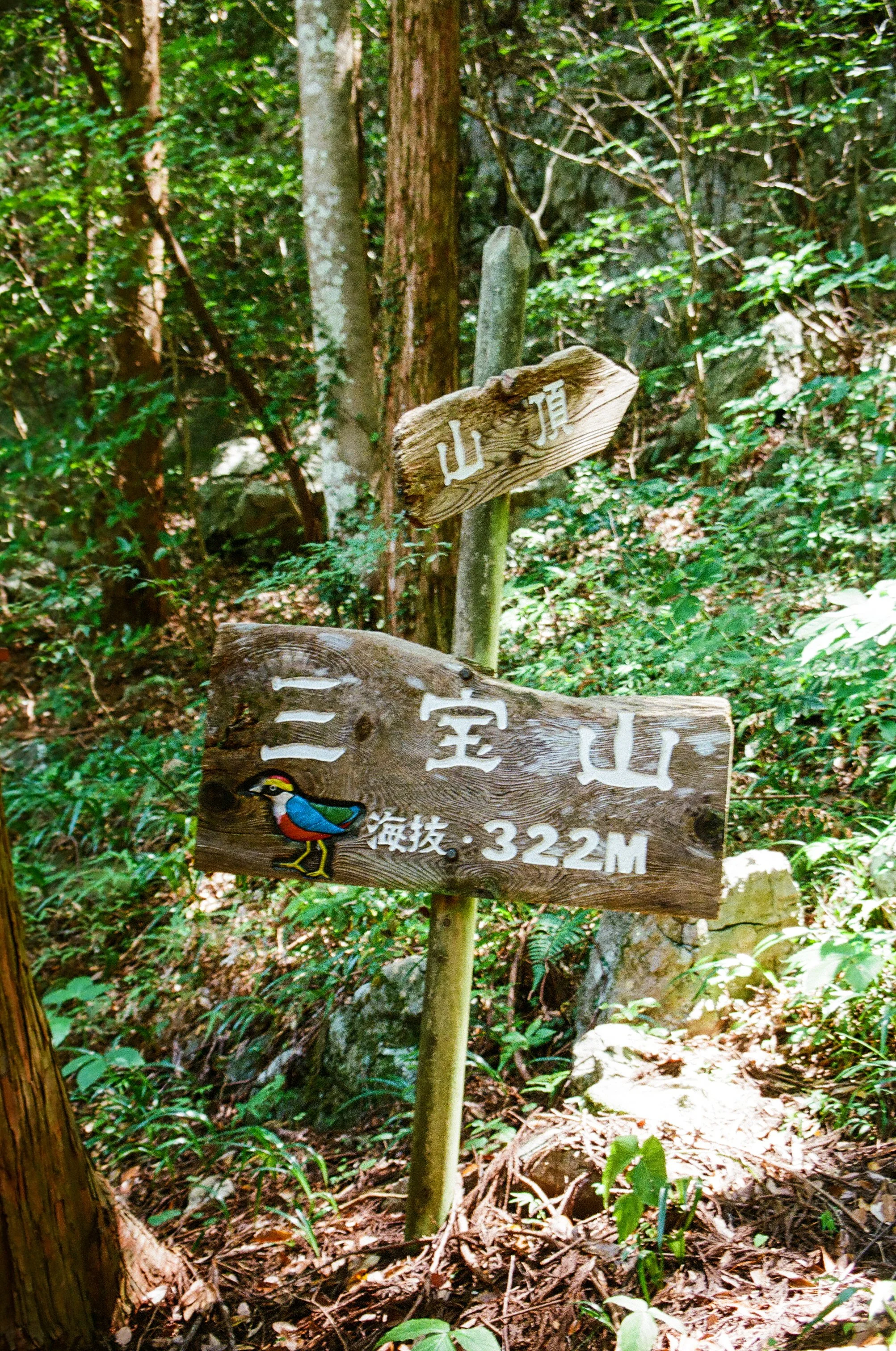 edit (57 of 108).JPG