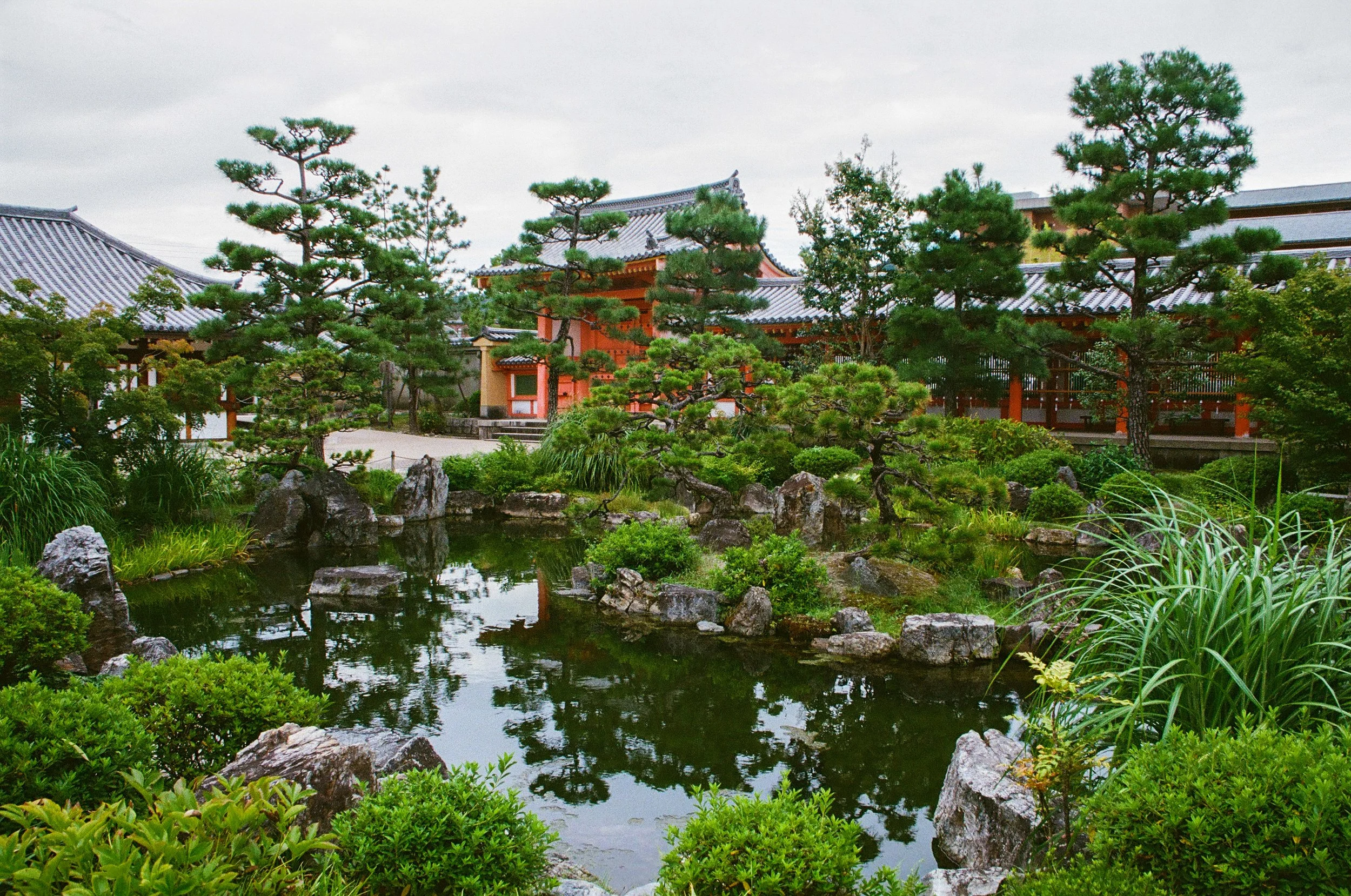 Traditional Japanese garden with a pond, rocks, lush greenery, and pine trees, with buildings featuring tiled roofs in the background.